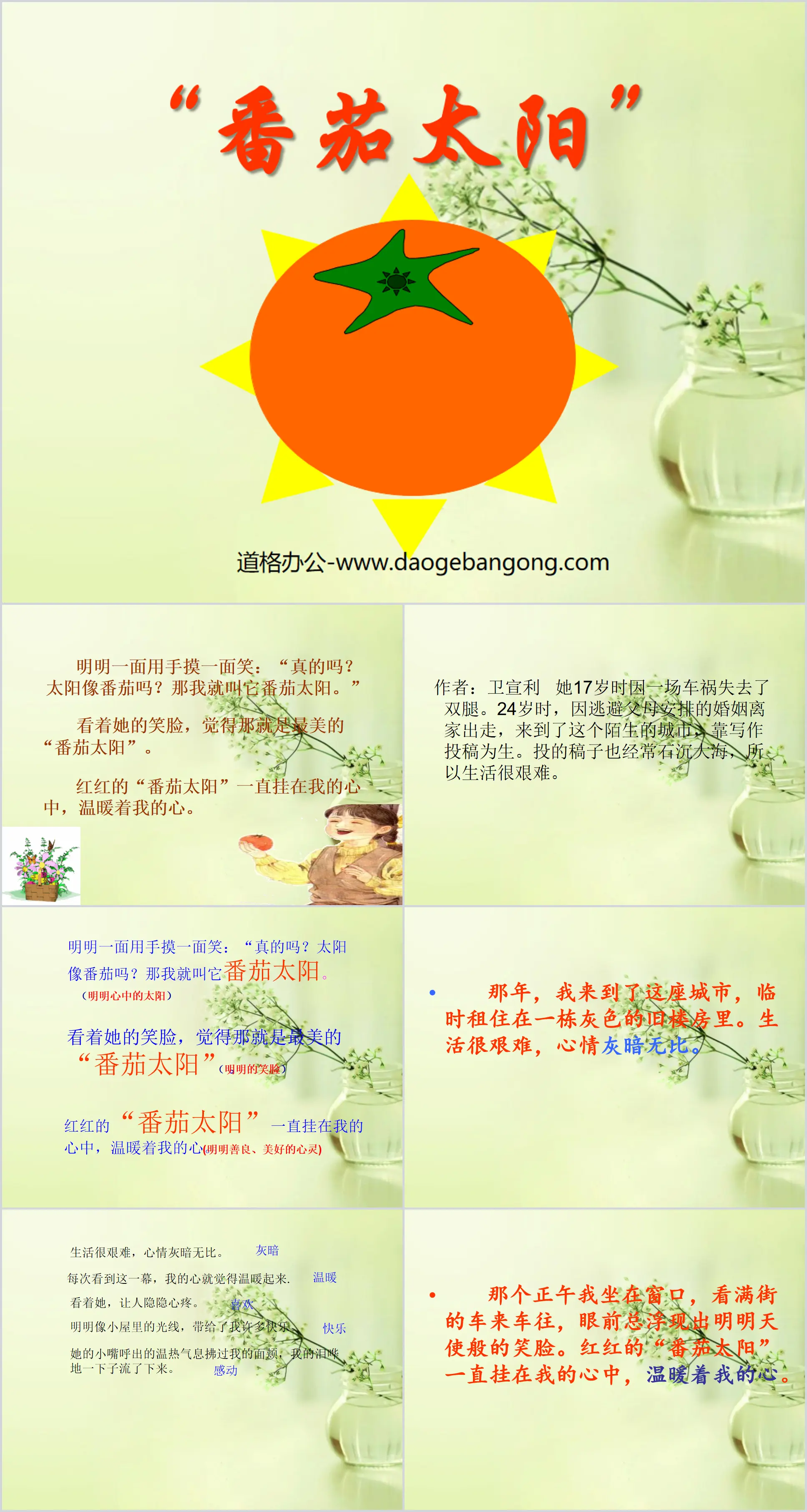 "Tomato Sun" PPT courseware 3