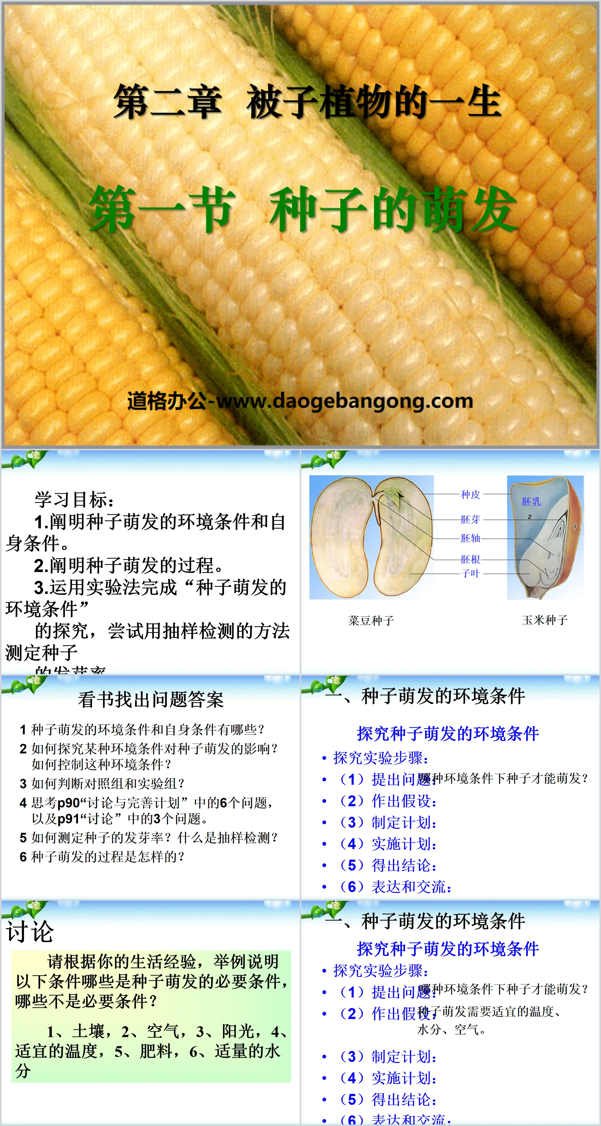 "Germination of Seeds" Life of Angiosperms PPT Courseware 4