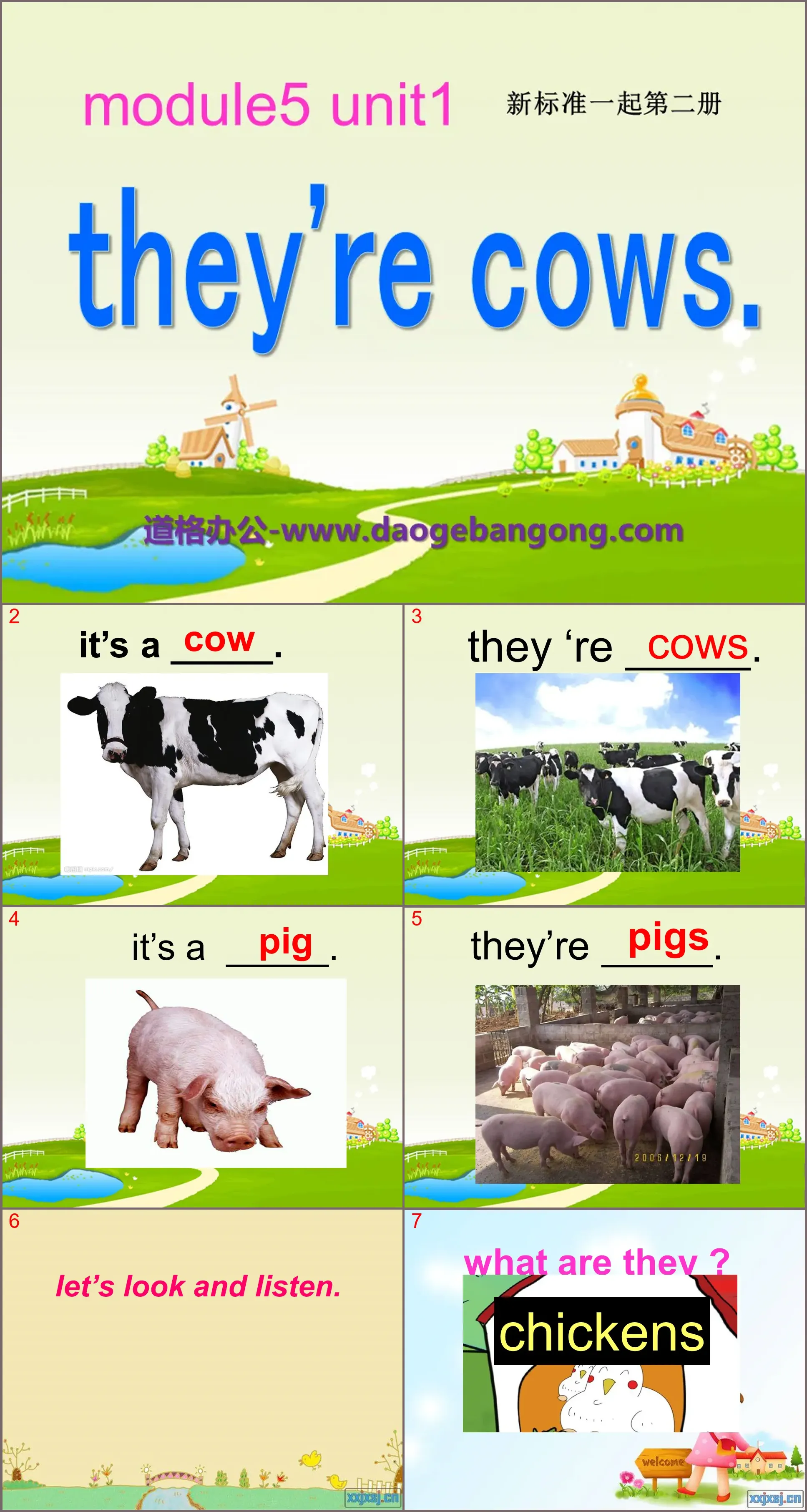 "They're cows" PPT courseware