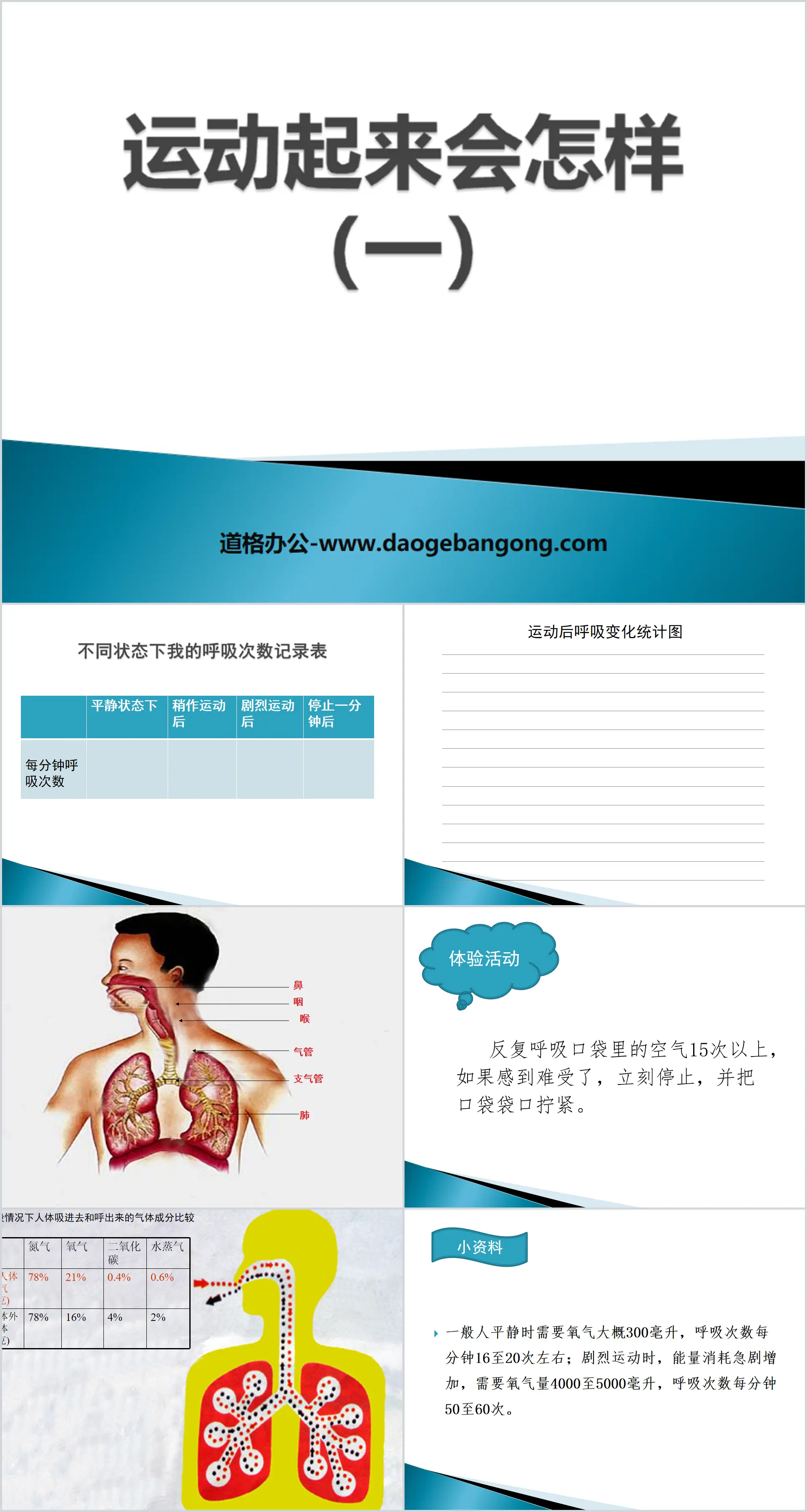 《运动起来会怎样(一)》我们的身体PPT课件2
