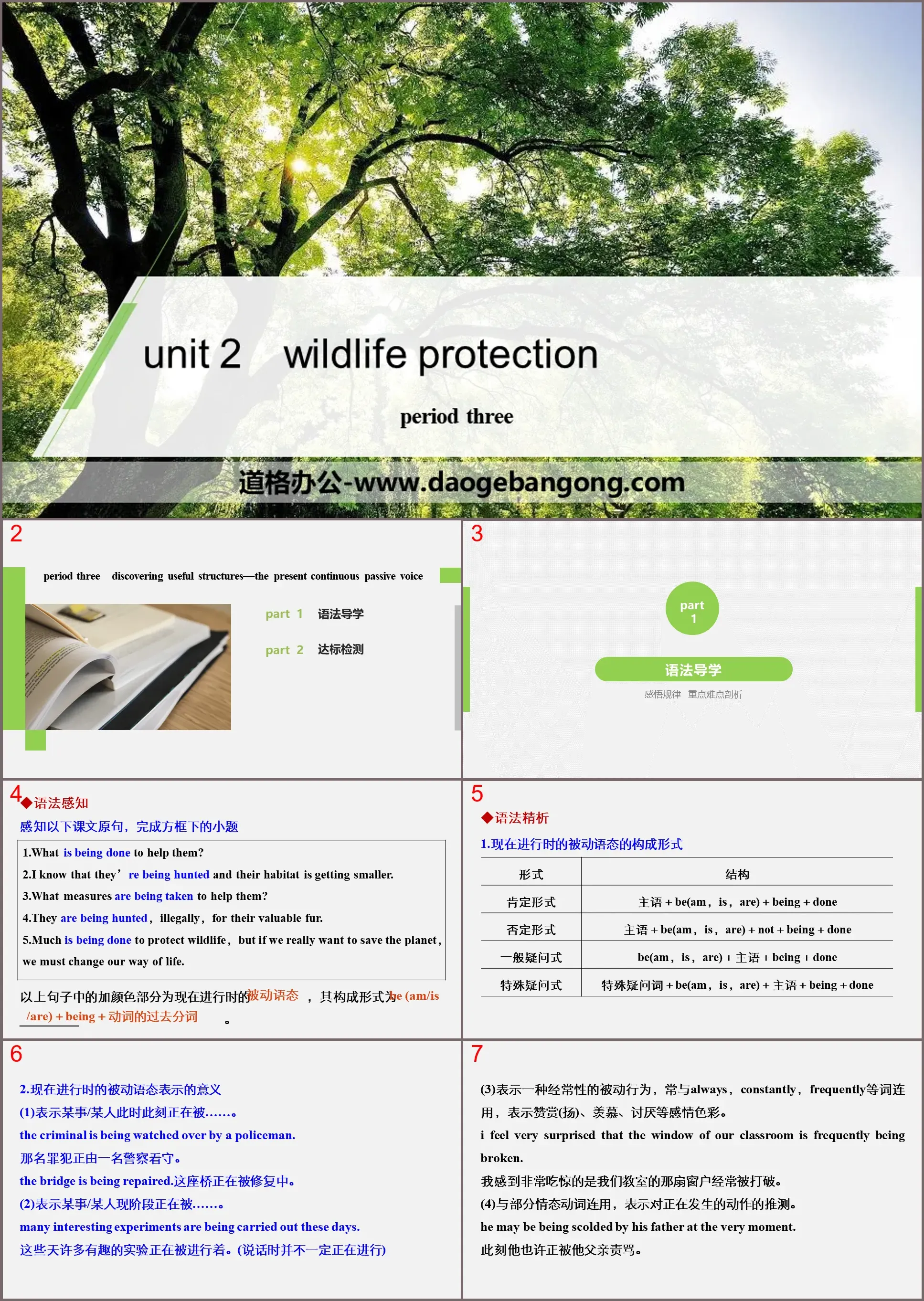 《Wildlife Protection》Period Three PPT