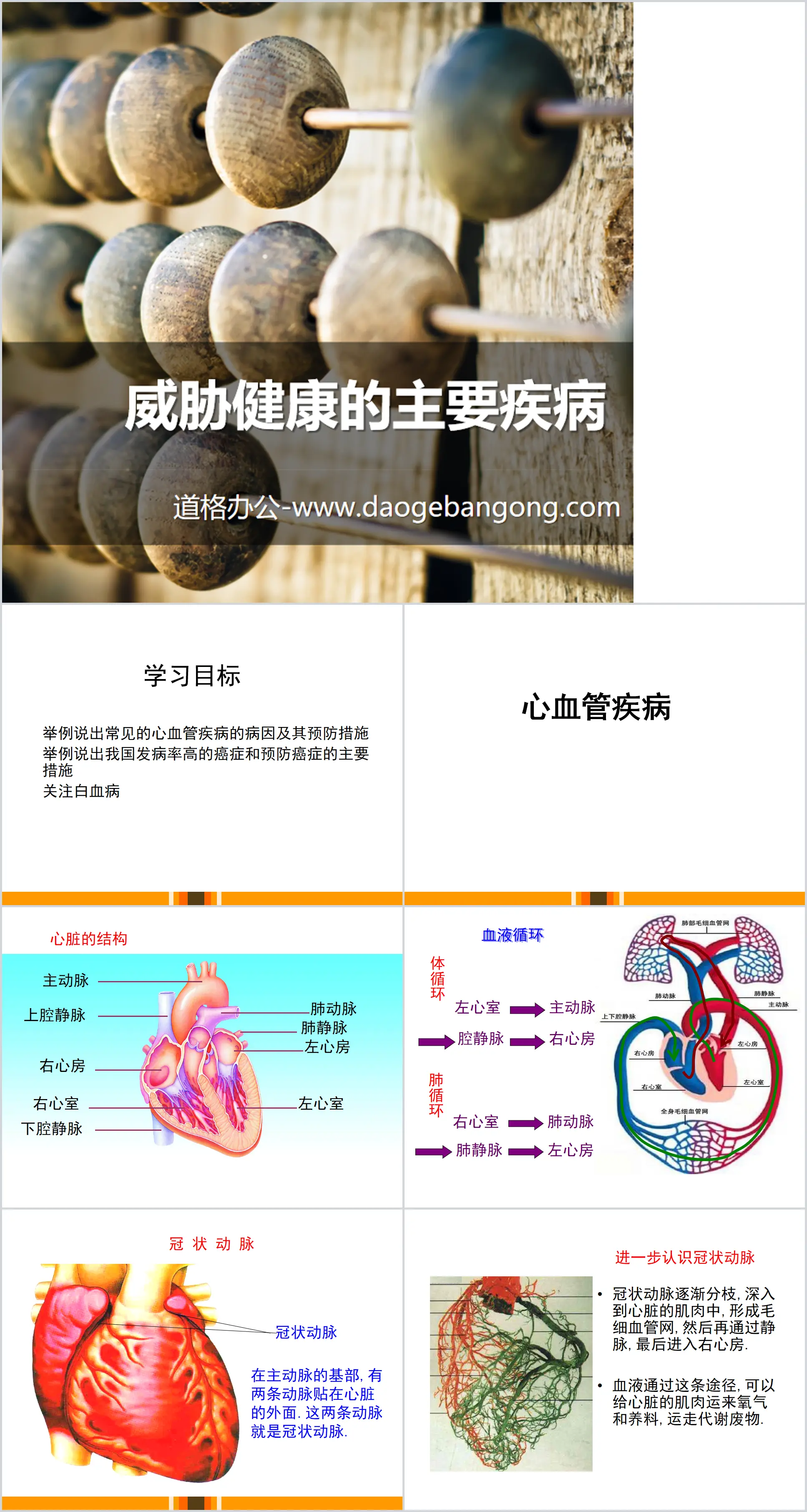 《威胁健康的主要疾病》PPT
