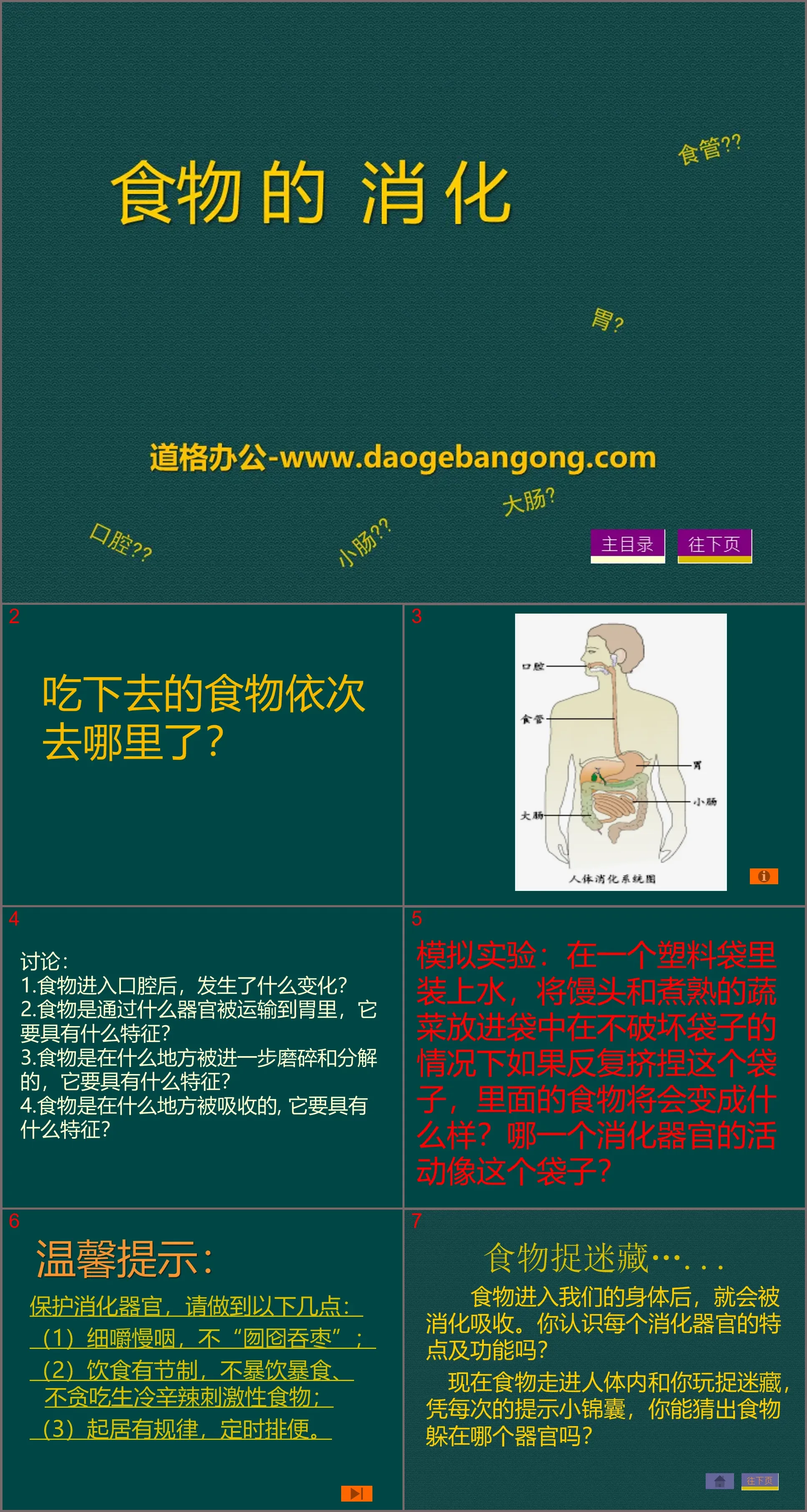 《食物的消化》生活中的食物PPT课件