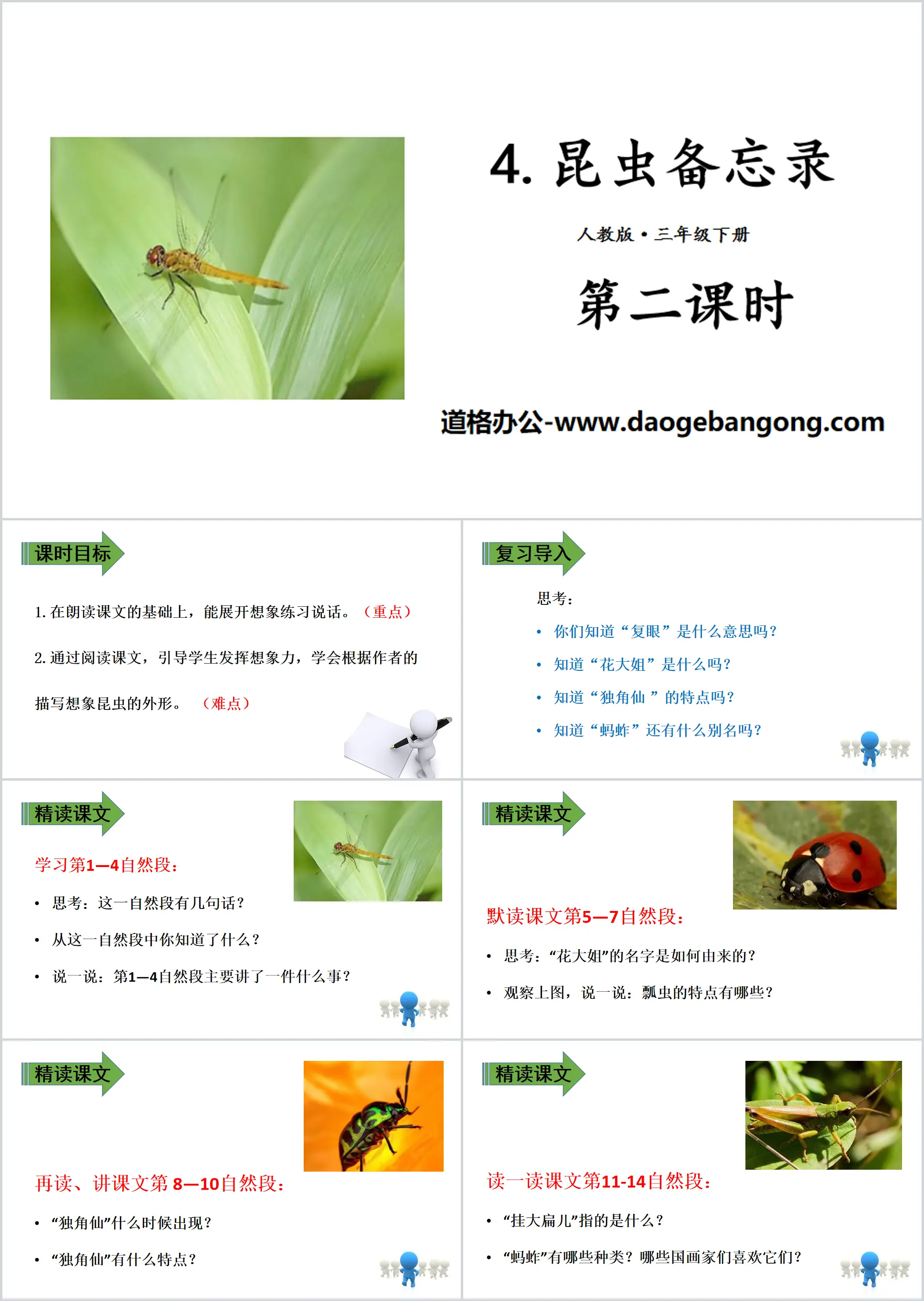 "Insect Memo" PPT (Lesson 2)