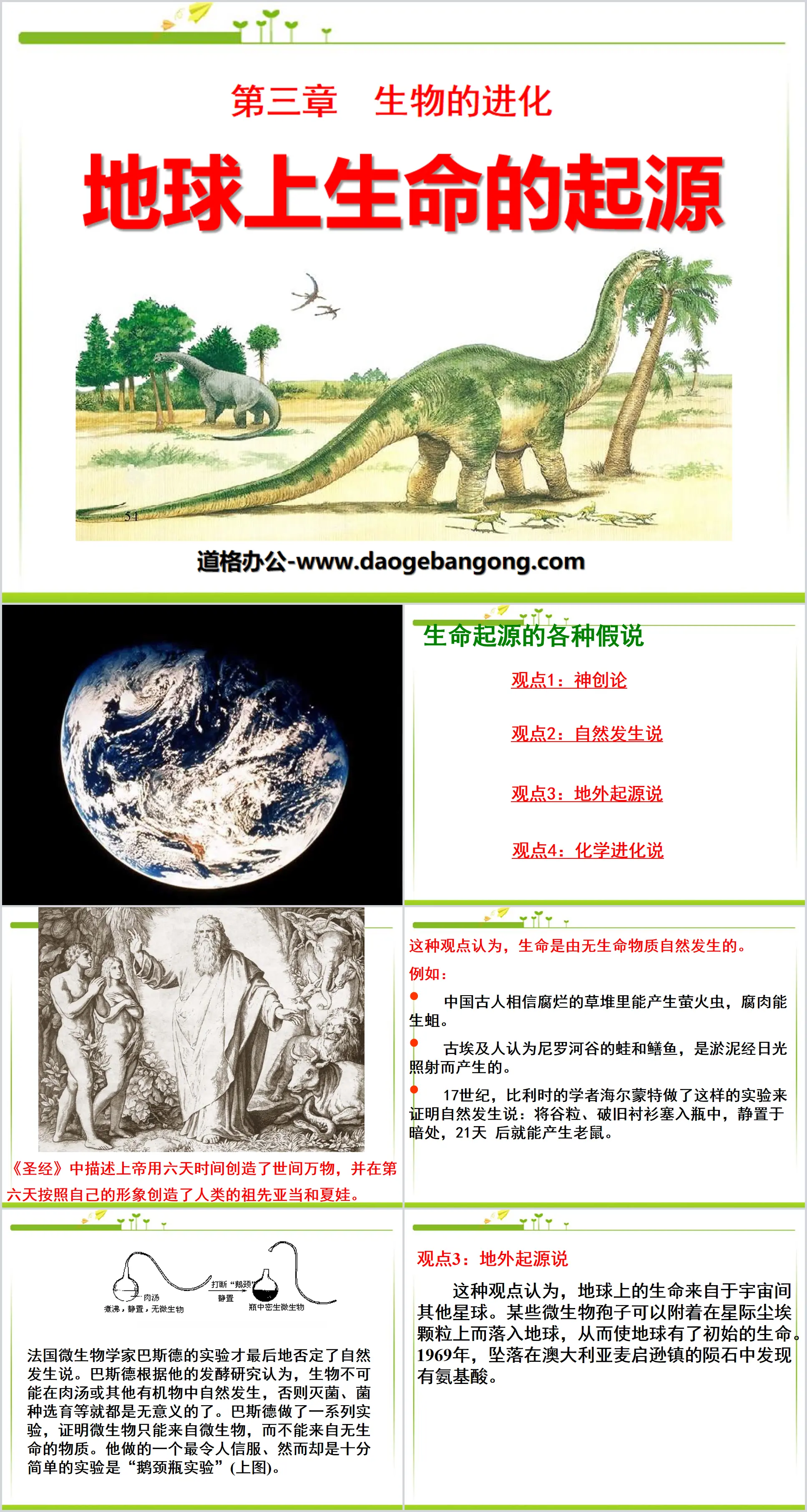 《地球上生命的起源》生物的进化PPT课件3
