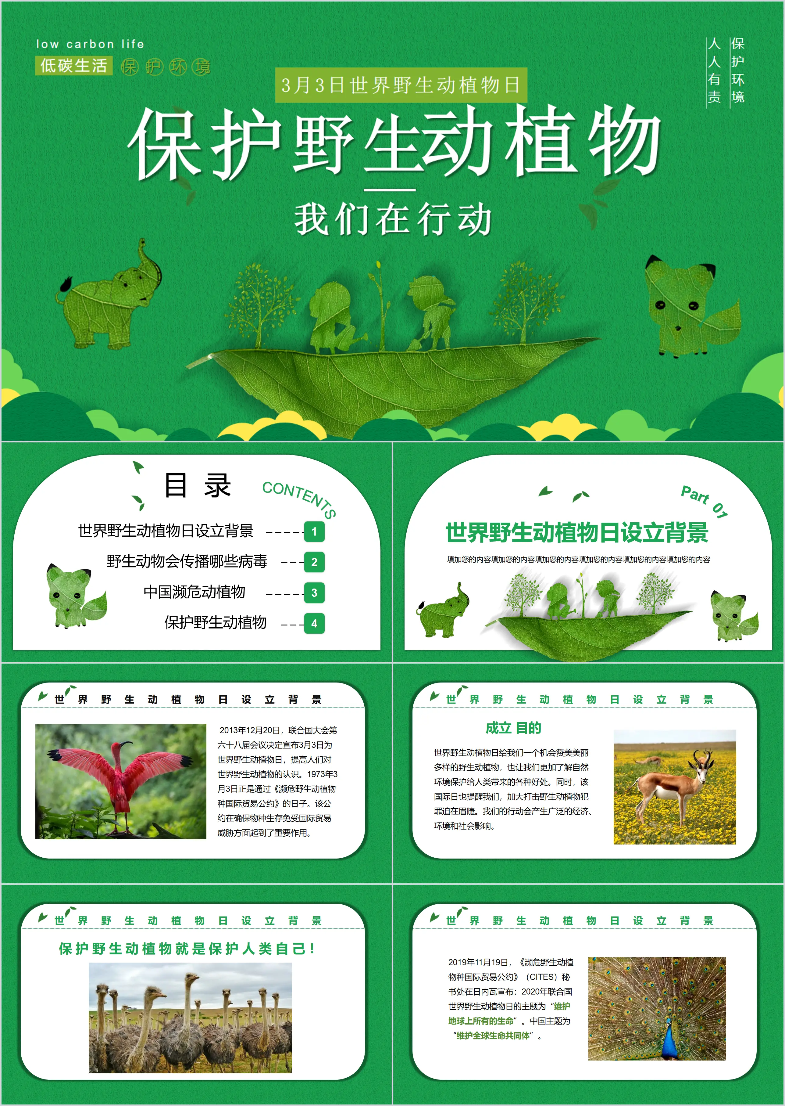 Small fresh protection of wild animals and plants we are in action PPT template