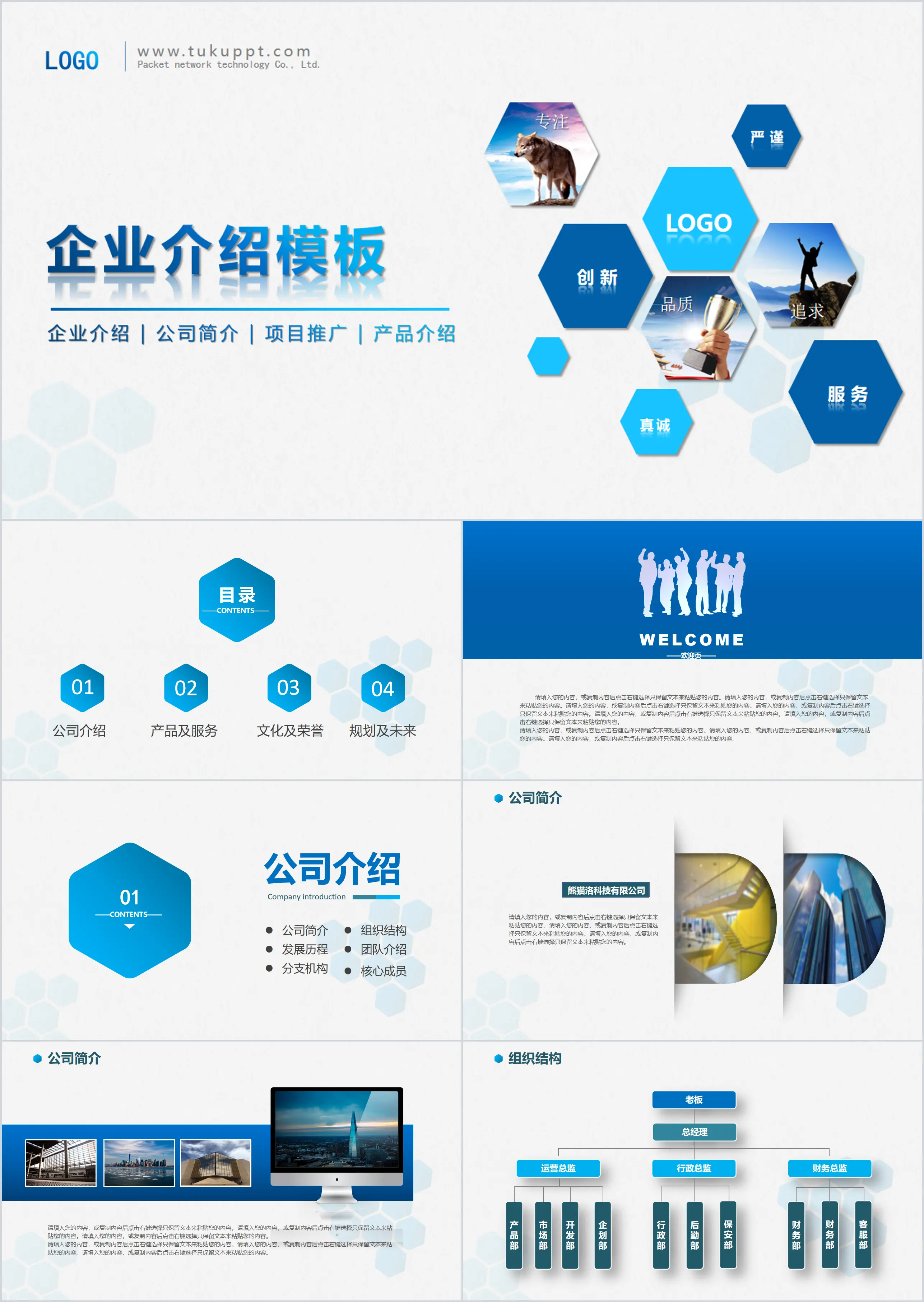 Enterprise introduction Company profile Project promotion Product introduction PPT template