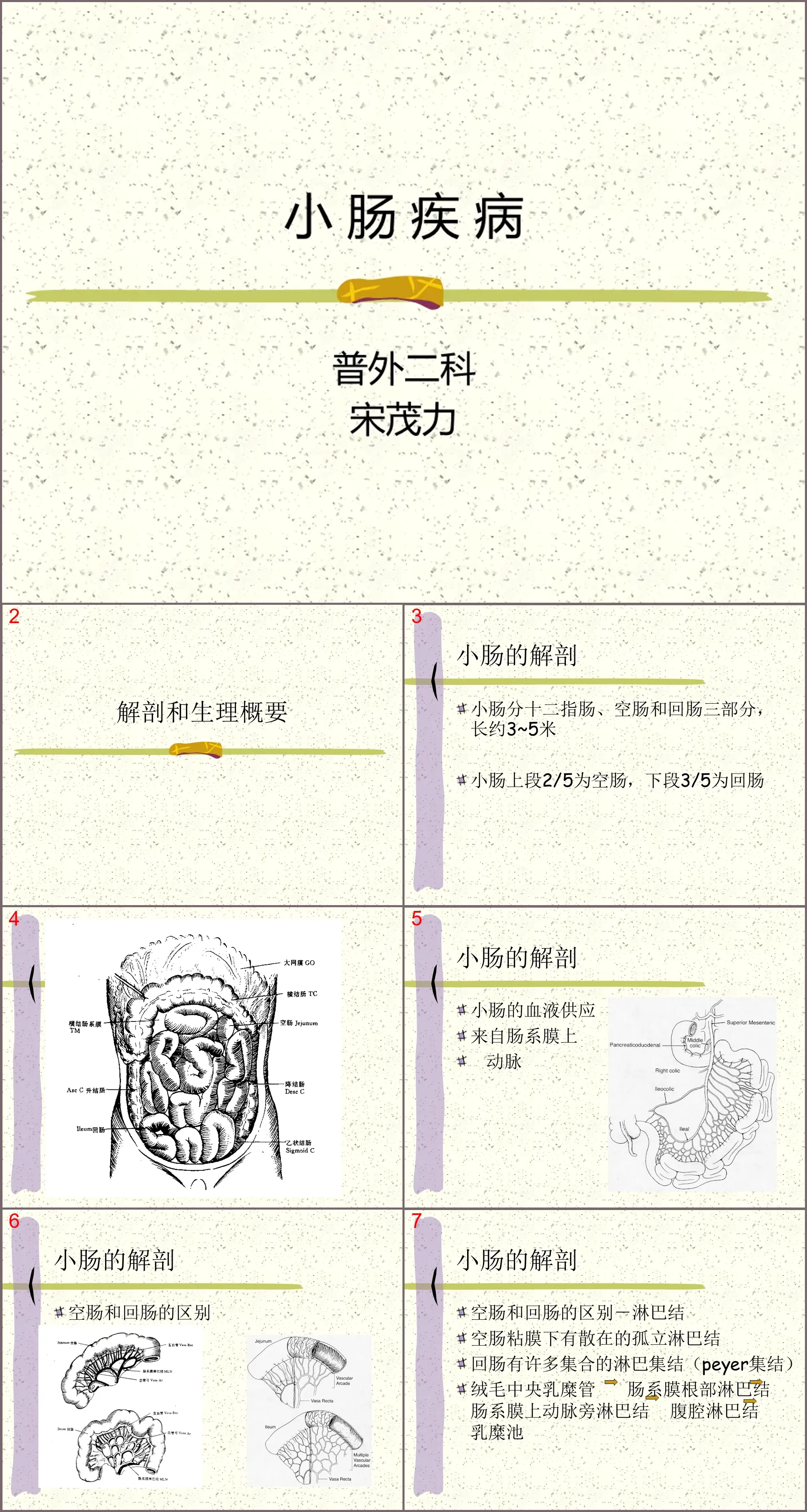 139小肠疾病