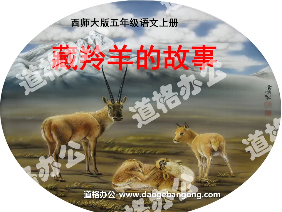 "The Story of Tibetan Antelope" PPT Courseware 2