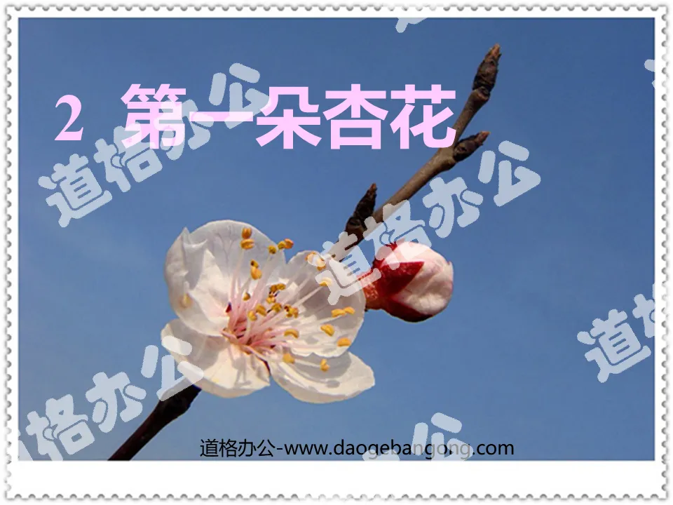 "The First Apricot Blossom" PPT Courseware 3