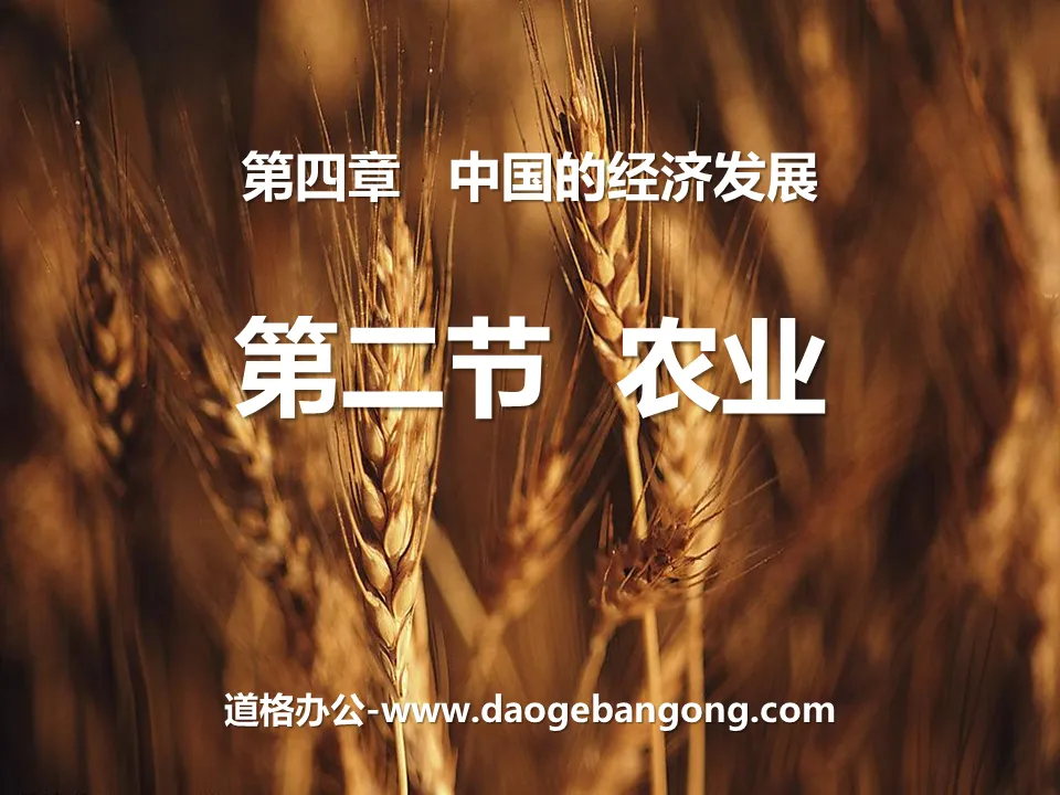 《农业》中国的经济发展PPT课件
