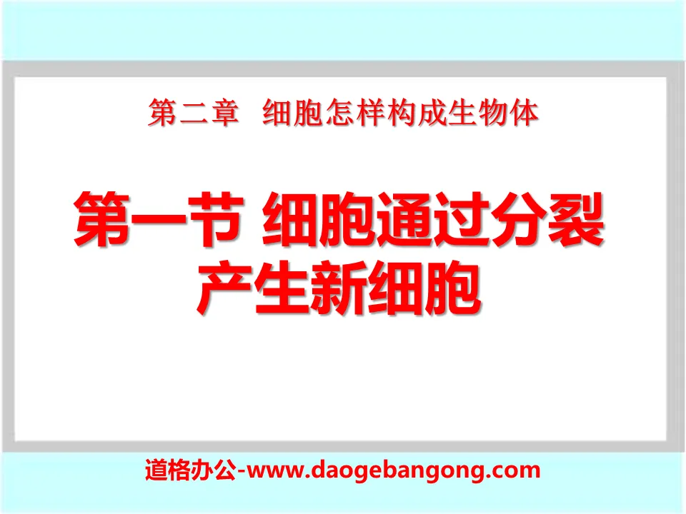 《细胞通过分裂产生新细胞》细胞怎样构成生物体PPT课件3
