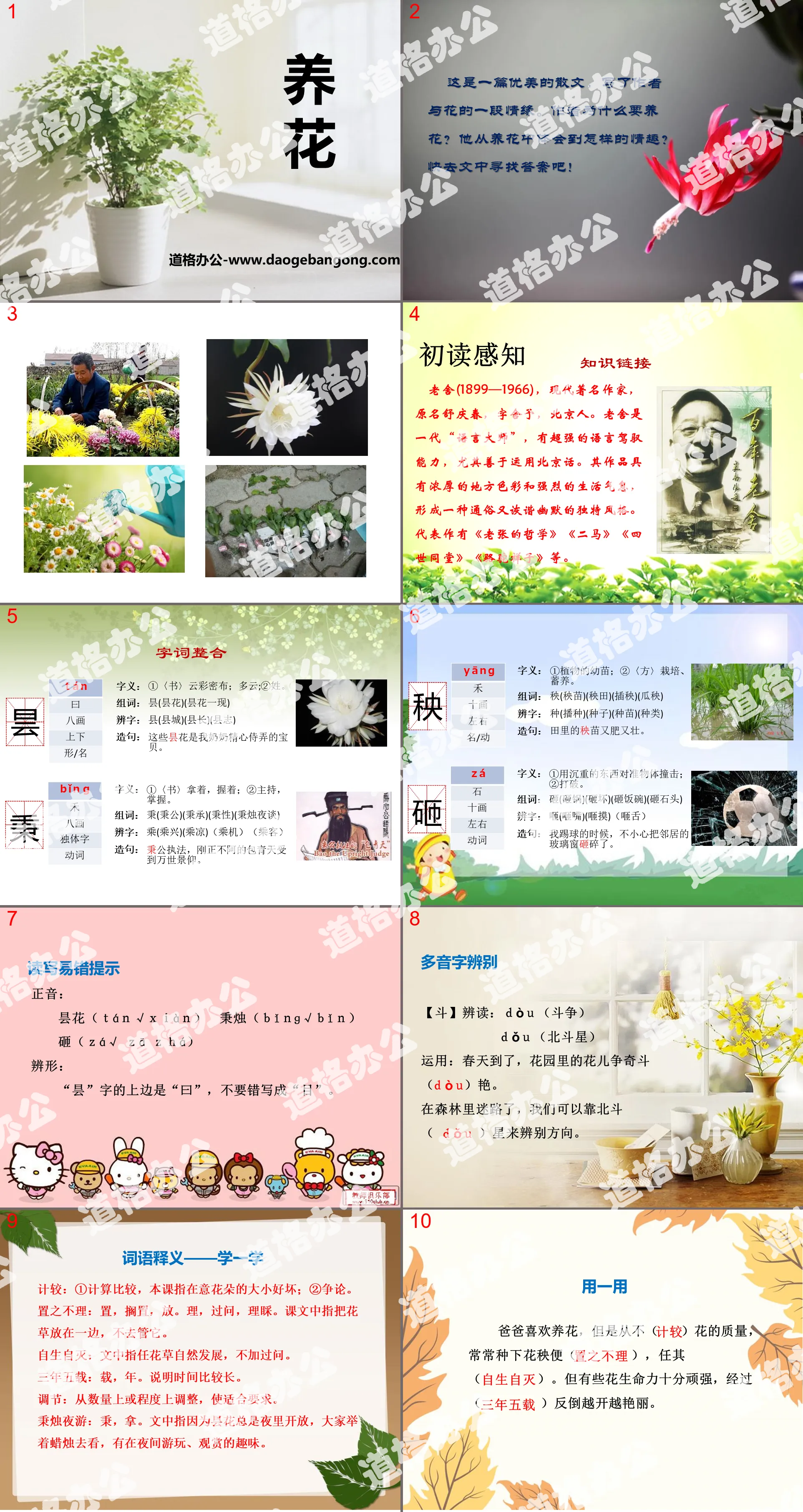 《養花》PPT