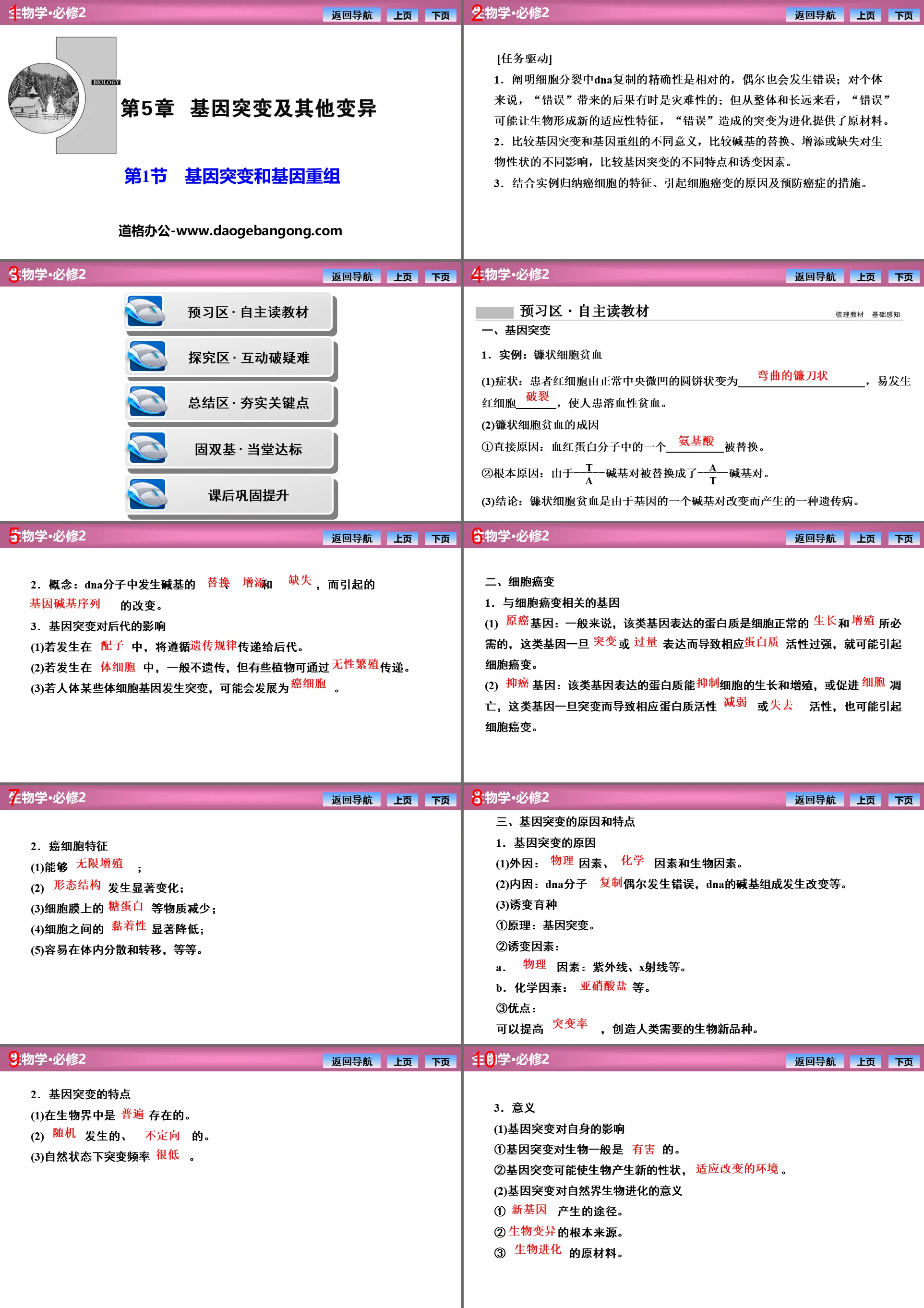 《基因突变和基因重组》基因突变及其他变异PPT下载