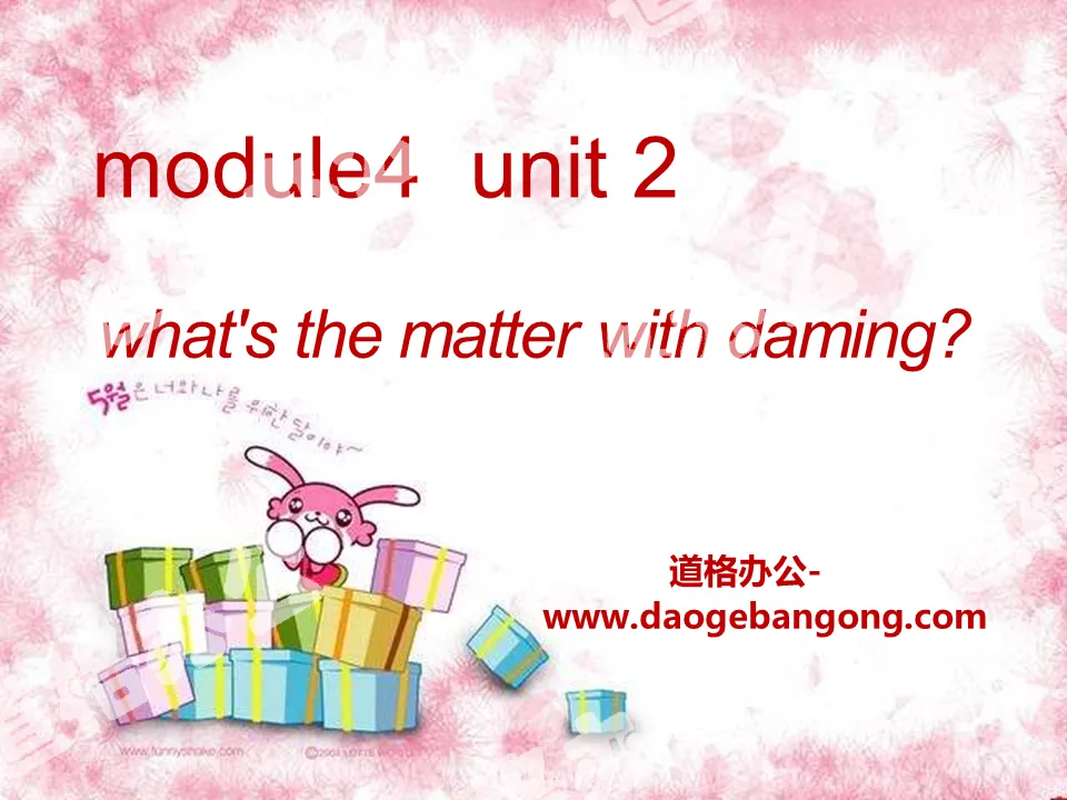 "What's the matter with Daming?" PPT courseware