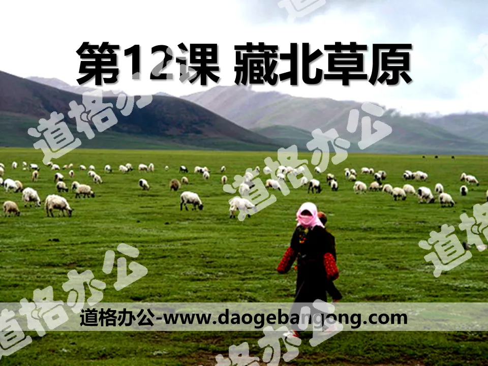 "Northern Tibetan Grassland" PPT courseware