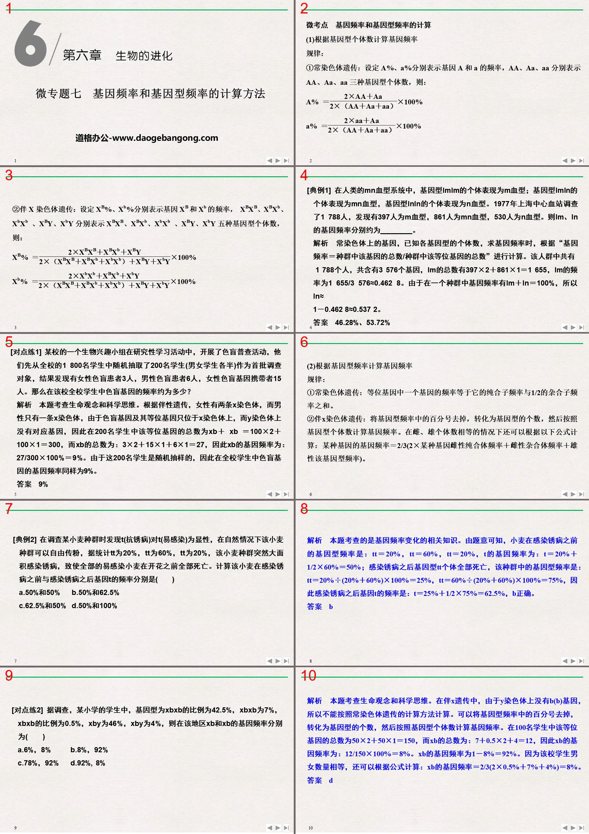 《微专题七　基因频率和基因型频率的计算方法》生物的进化PPT课件