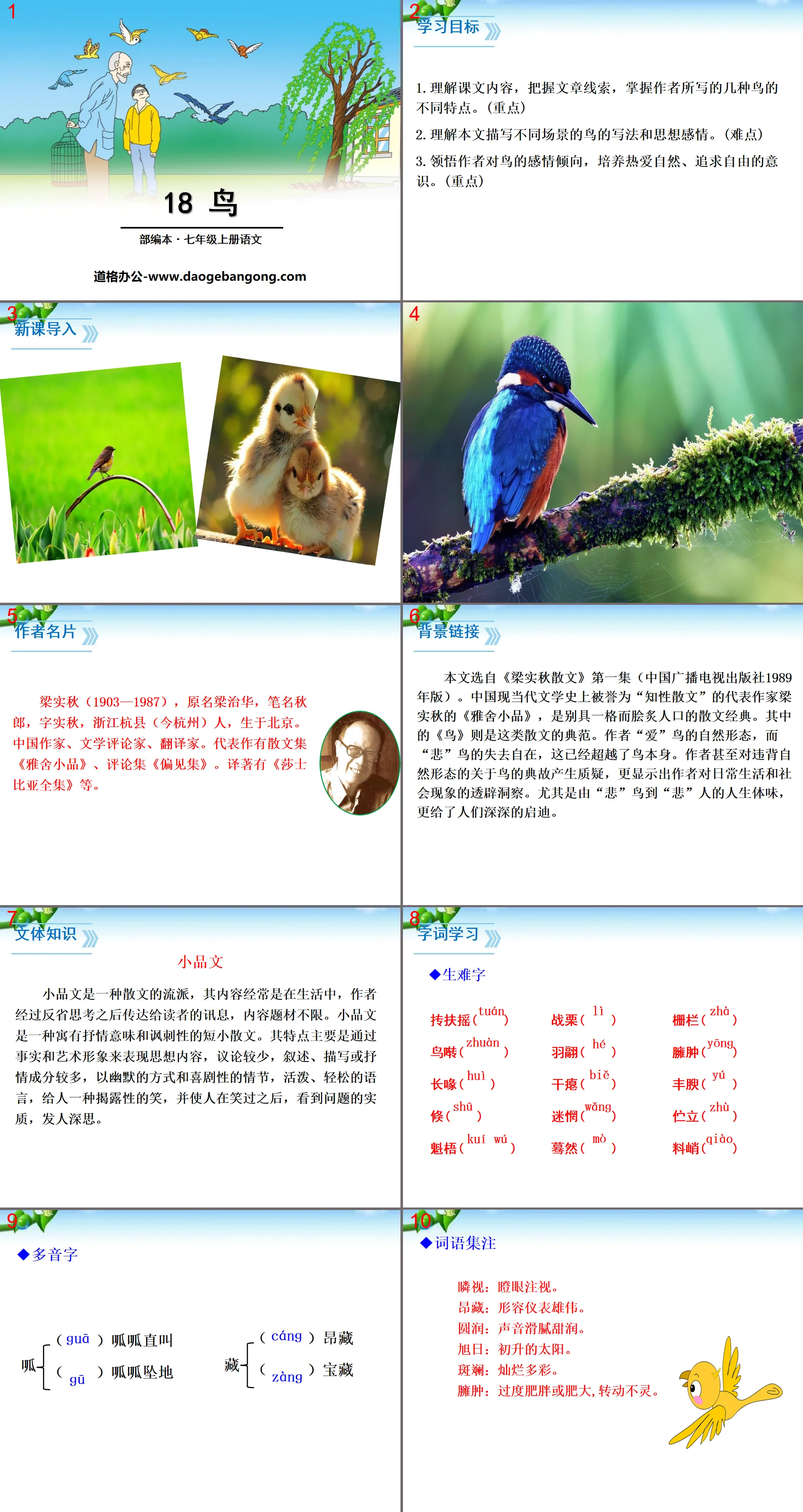 "Bird" PPT