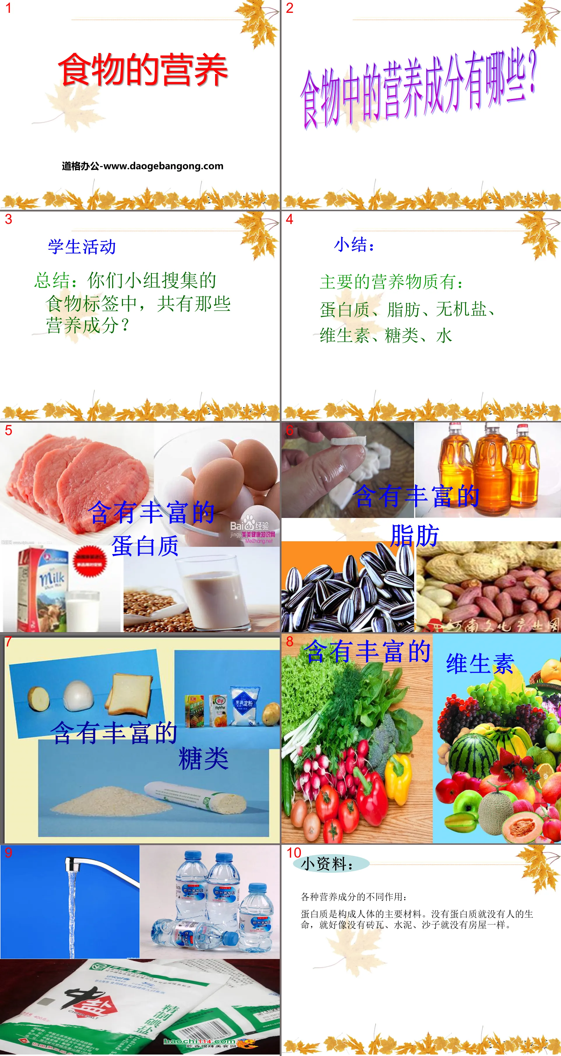 "Food Nutrition" Food in Life PPT Courseware 3