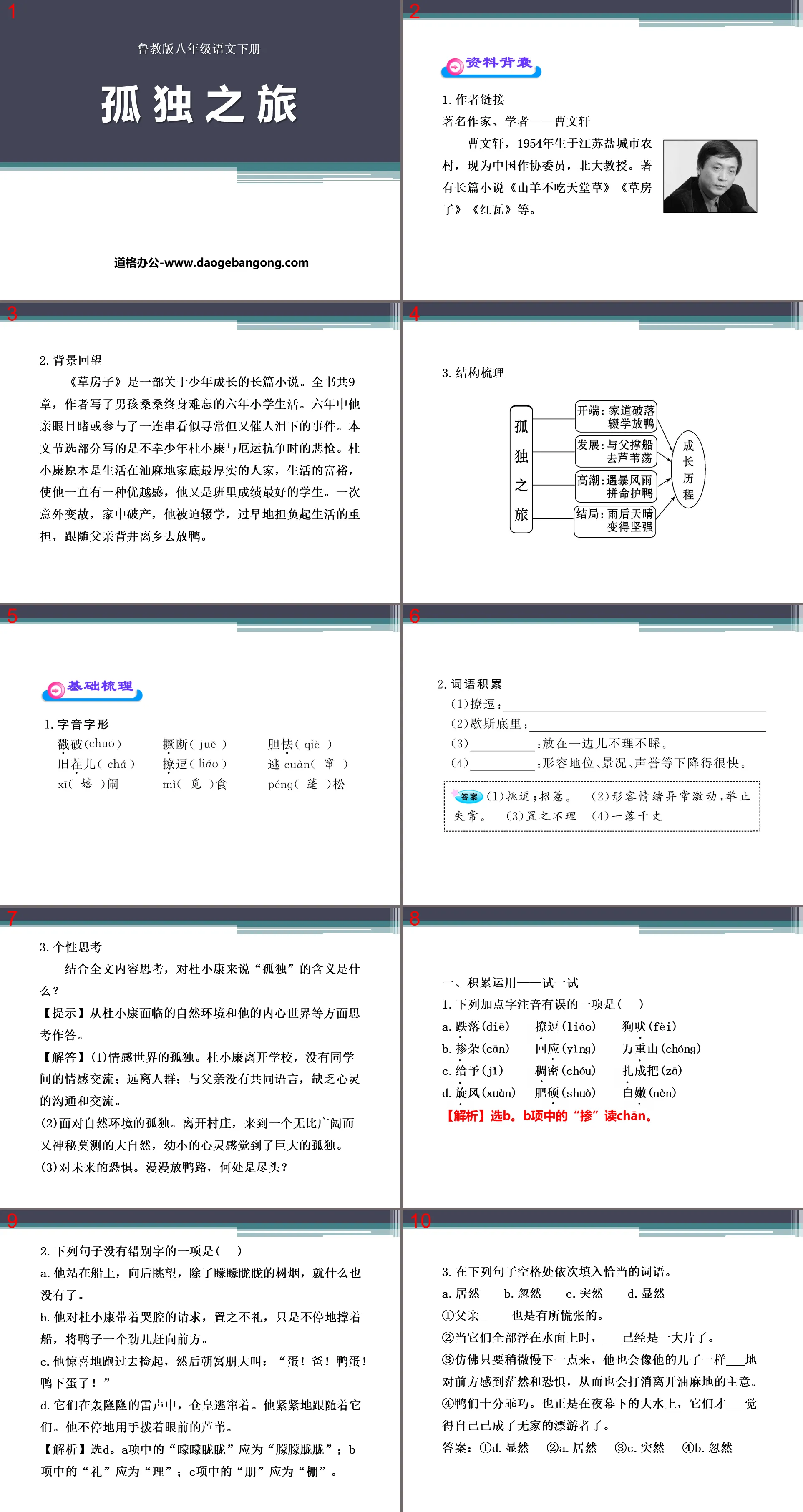 《孤独之旅》PPT课件8
