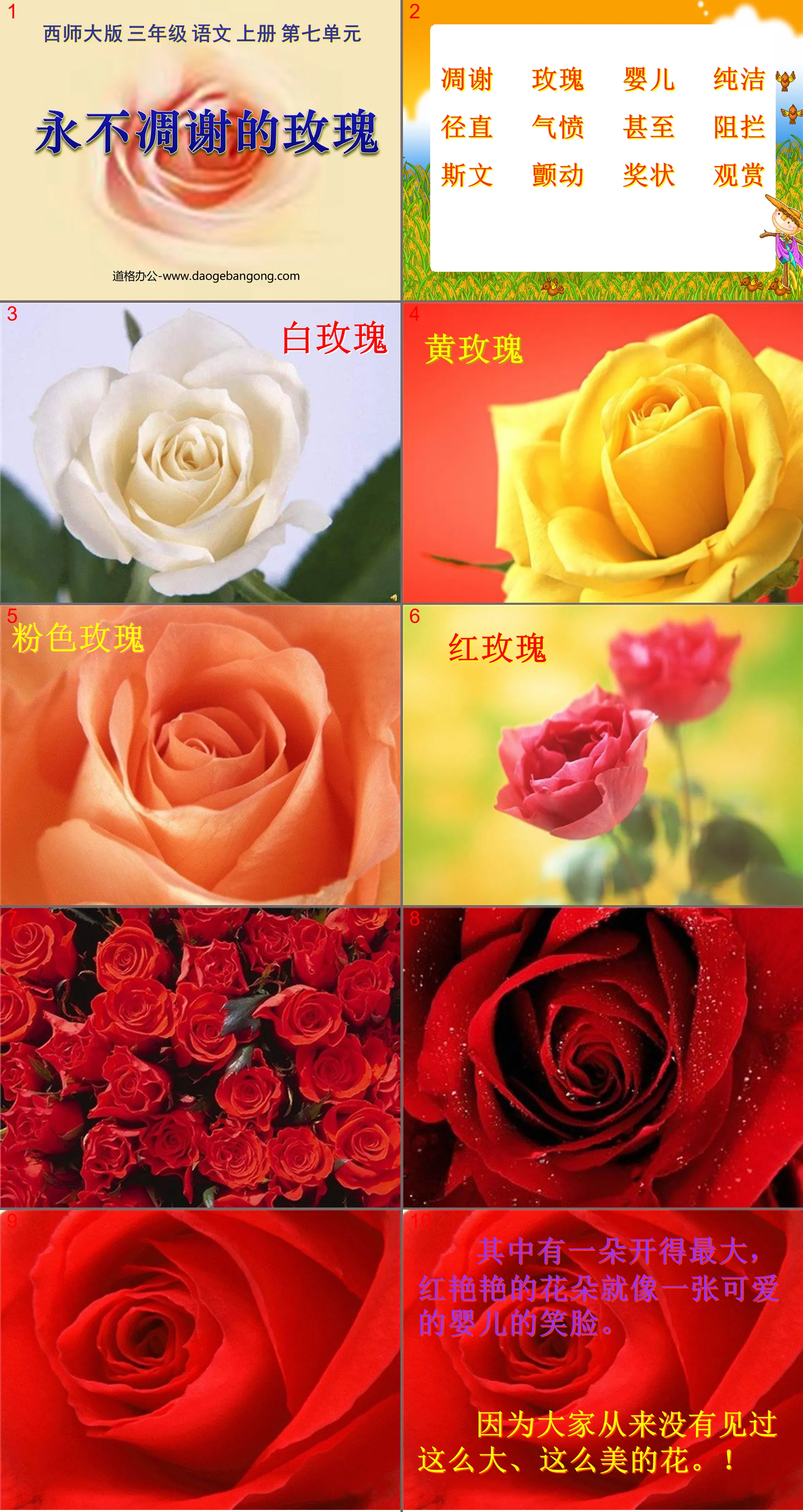 "The Rose That Never Fades" PPT Courseware 2