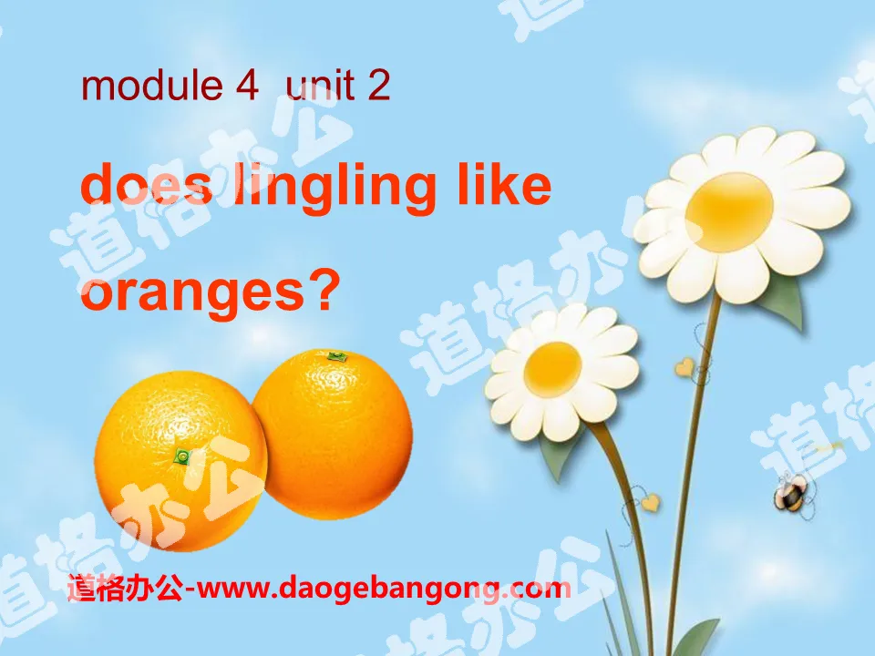 《Does Lingling like oranges?》PPT课件4
