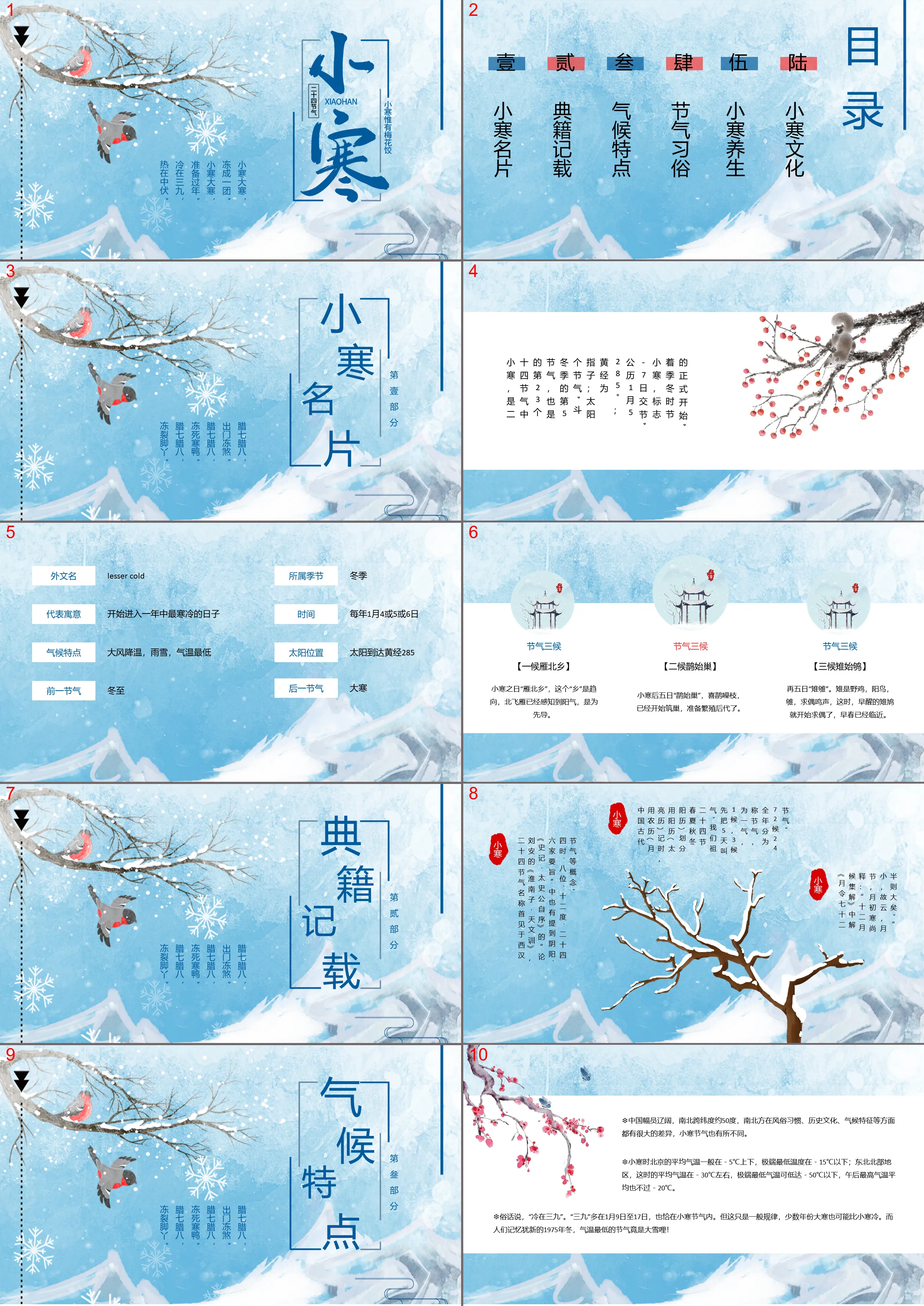 水彩雪花樹枝飛鳥背景的小寒節氣PPT模板