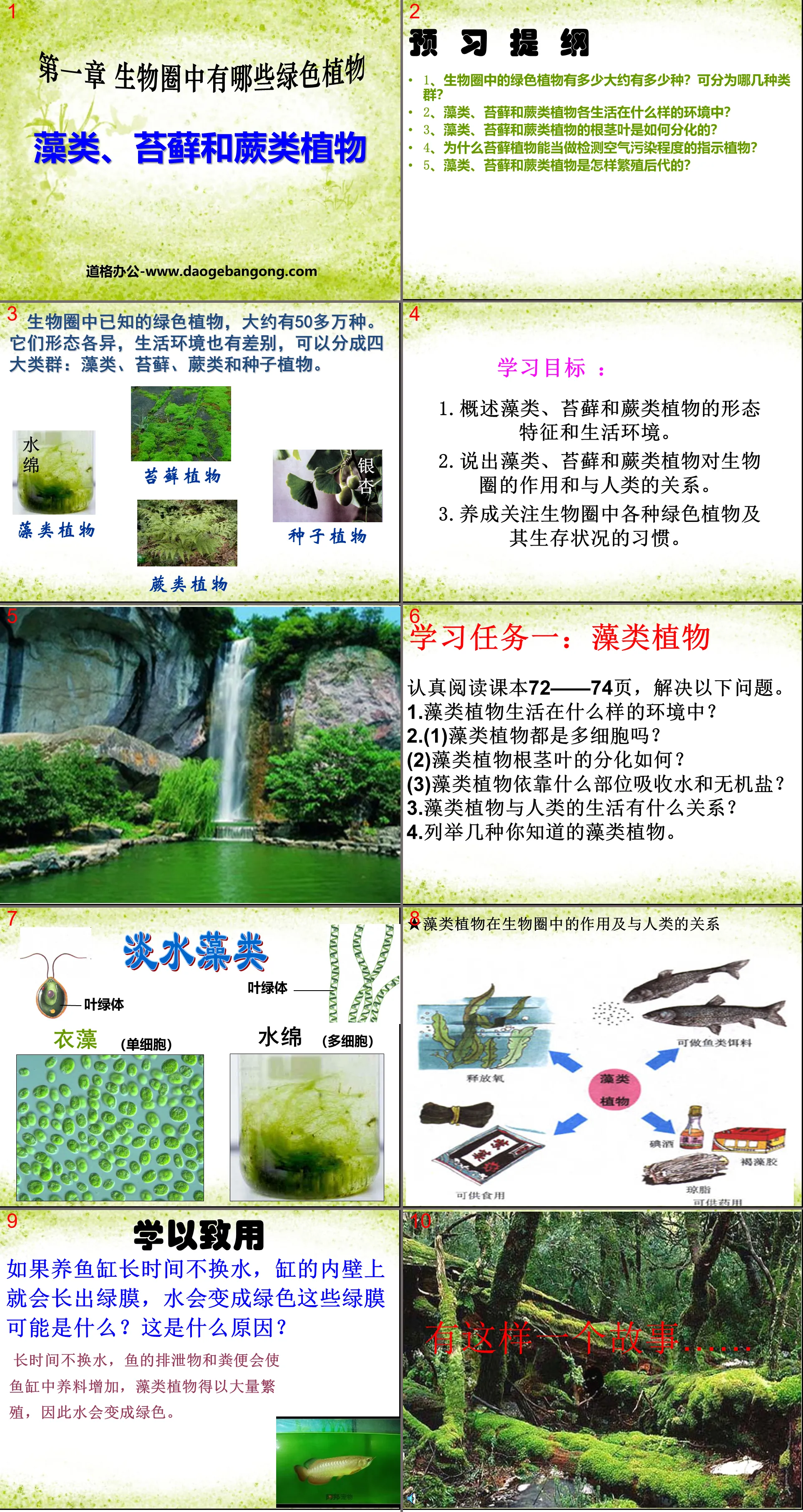 《藻類苔蘚和蕨類植物》生物圈中有哪些綠色植物PPT課件7