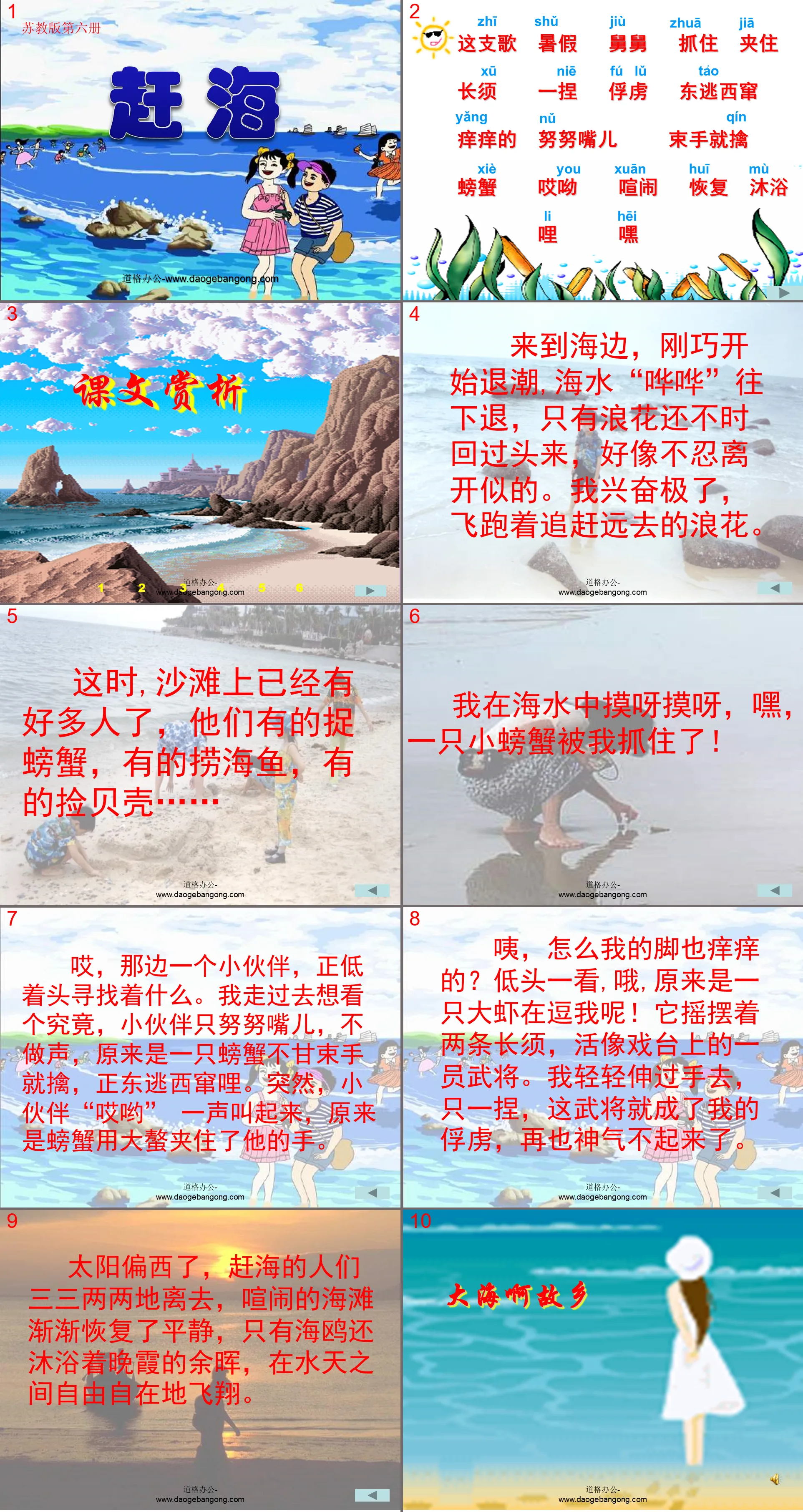 《赶海》PPT课件2