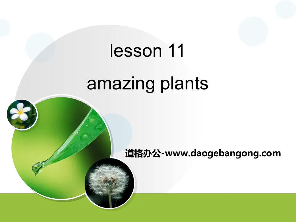 《Amazing Plants》Plant a Plant PPT下載