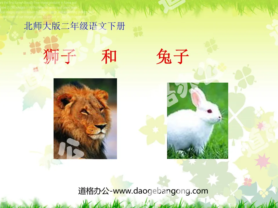 "The Lion and the Rabbit" PPT Courseware 2