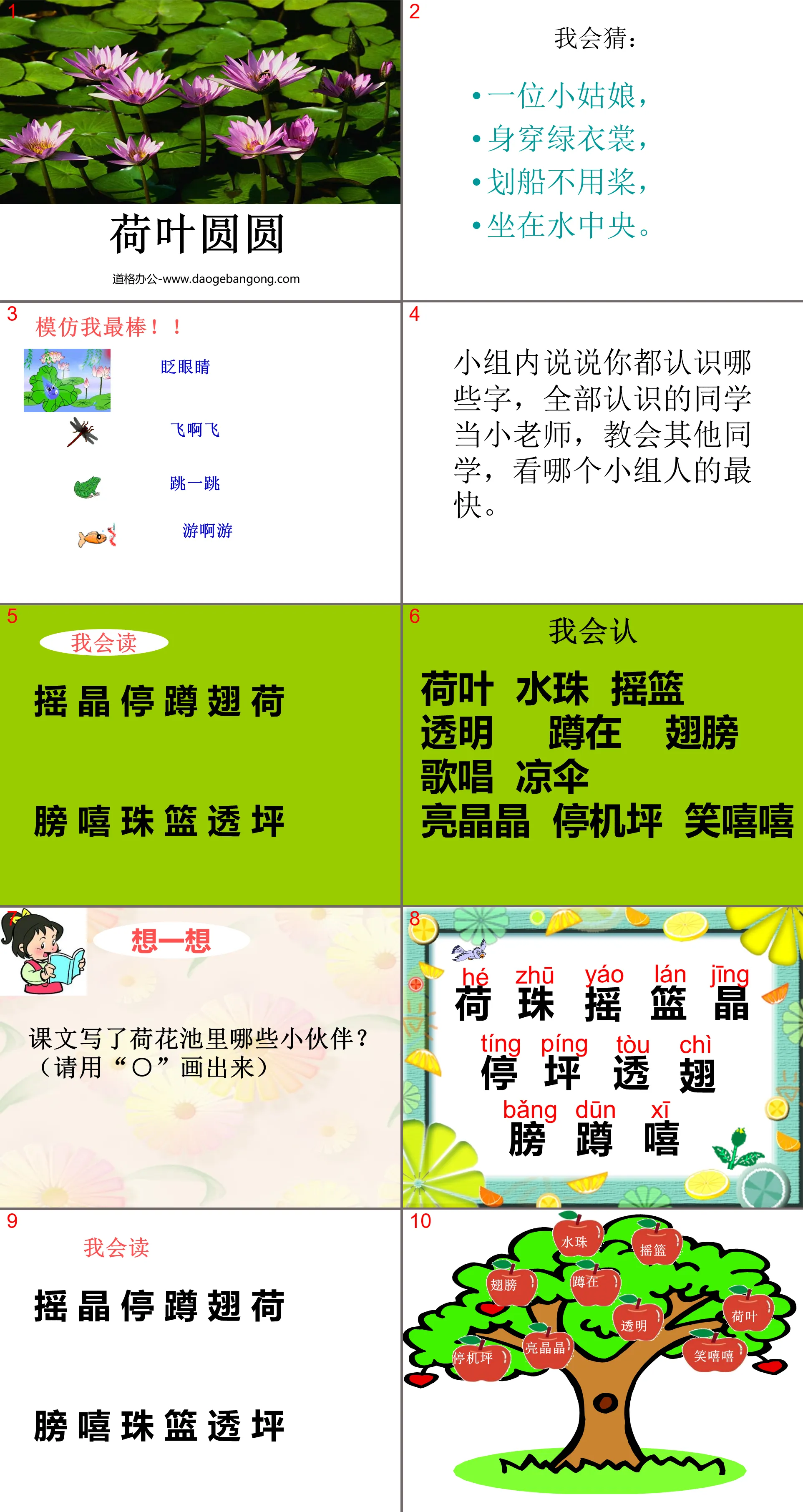 《荷叶圆圆》PPT课件3