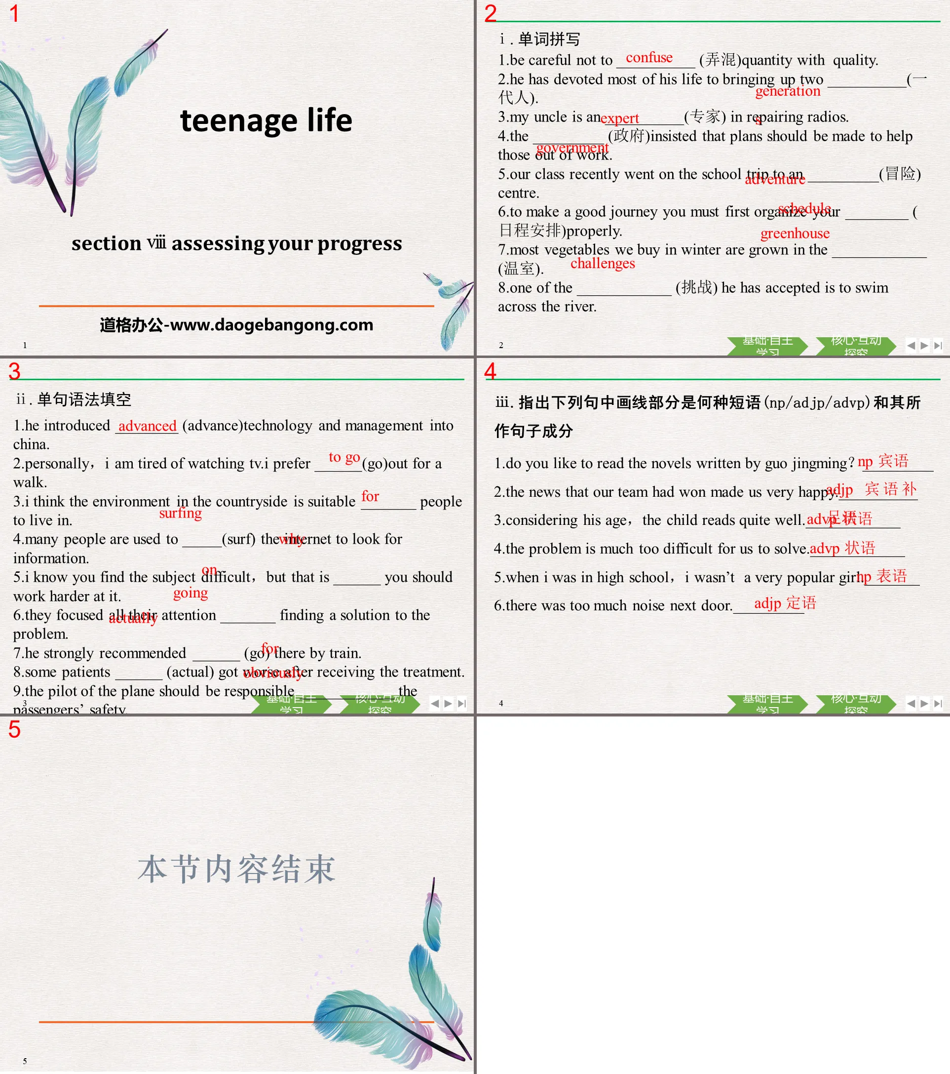 《Teenage Life》Assessing Your Progress PPT
