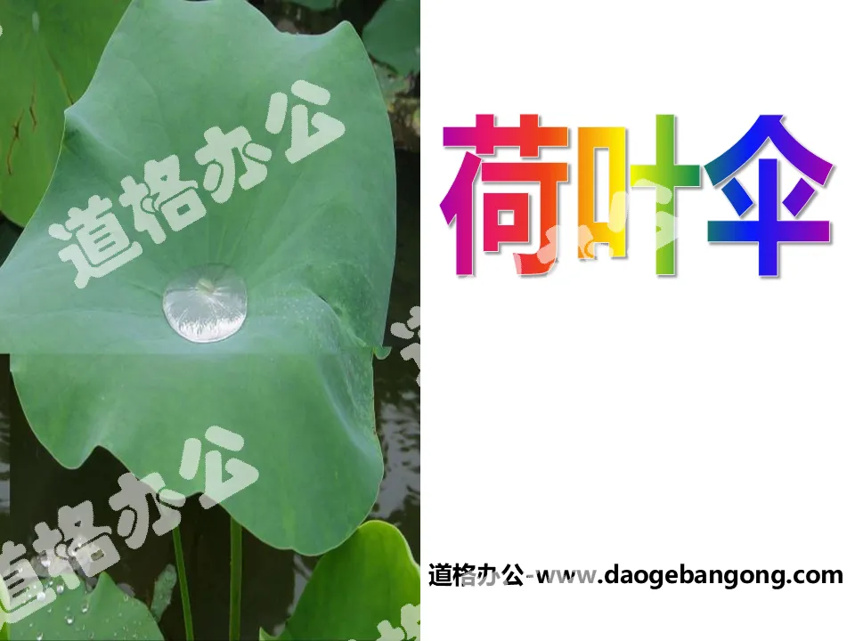 "Lotus Leaf Umbrella" PPT courseware