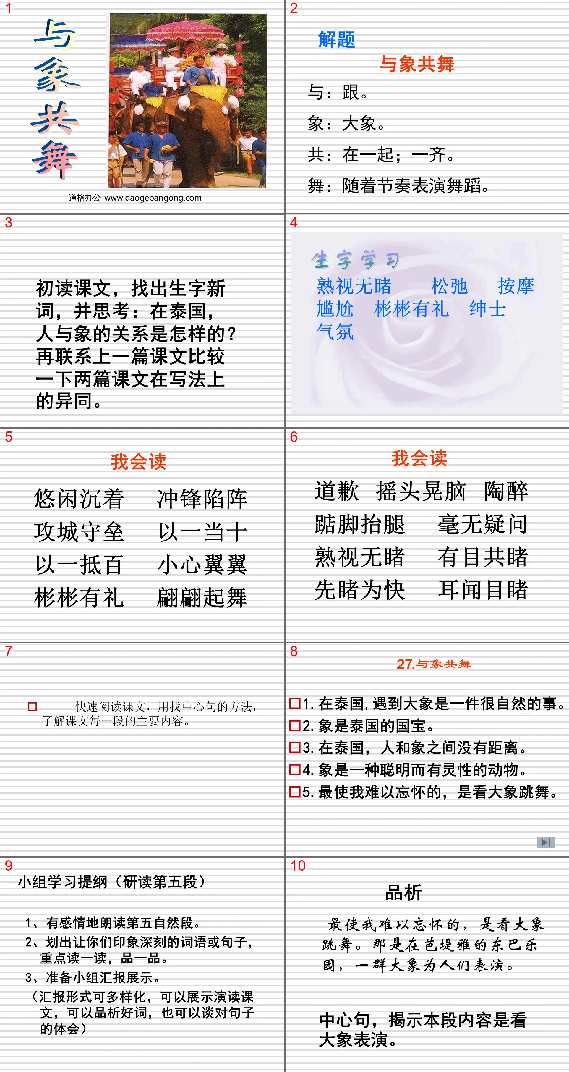 《与象共舞》PPT课件3