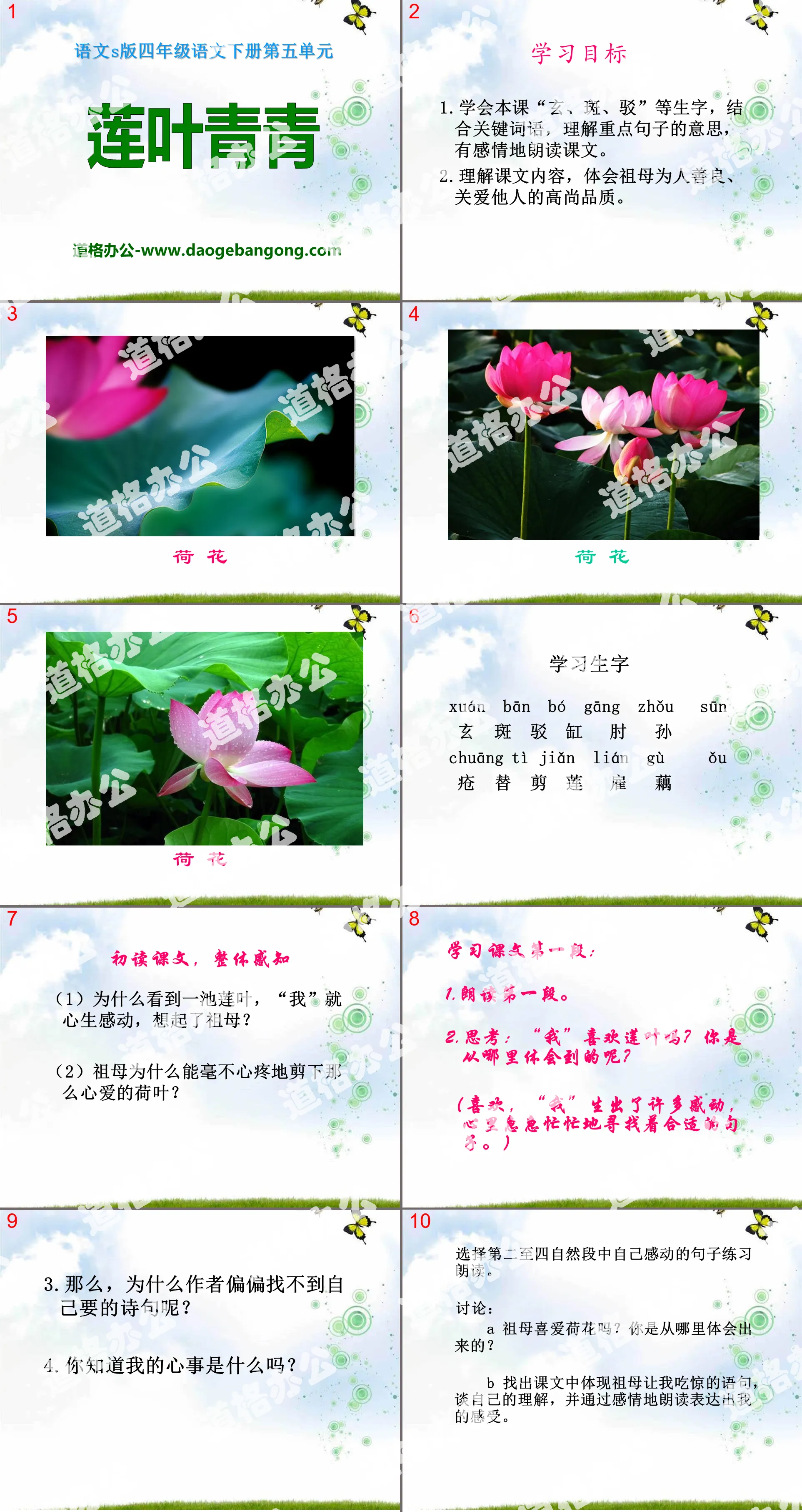 "Green Lotus Leaves" PPT Courseware 3