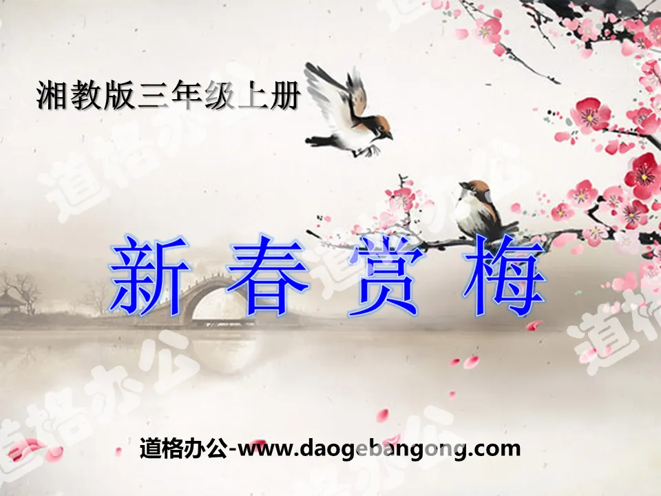 "Appreciating Plum Blossoms in the New Year" PPT Courseware 3