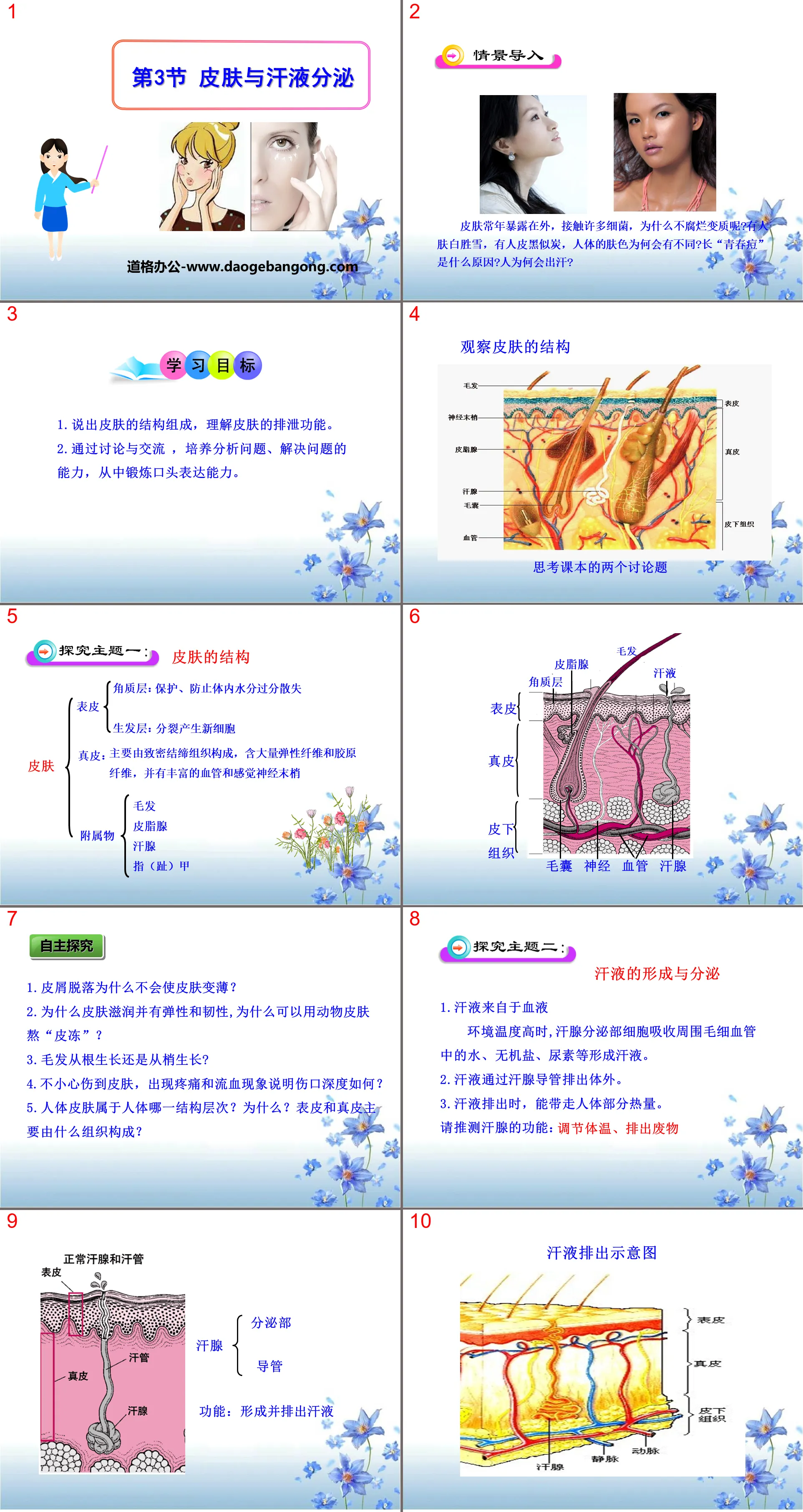 "Skin and Sweat Secretion" PPT