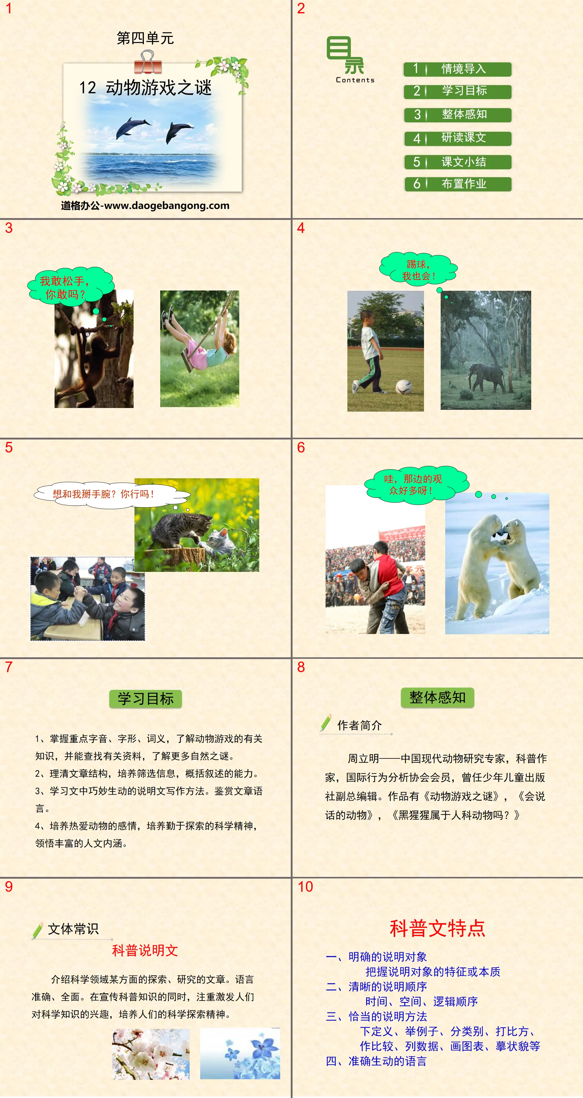 "The Mystery of Animal Games" PPT download