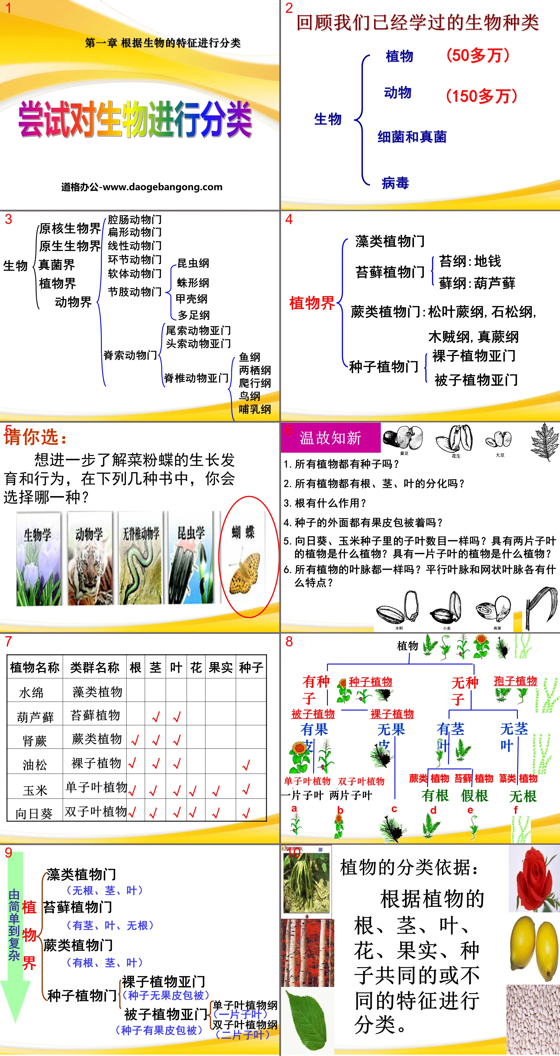 《尝试对生物进行分类》根据生物的特征进行分类PPT课件9
