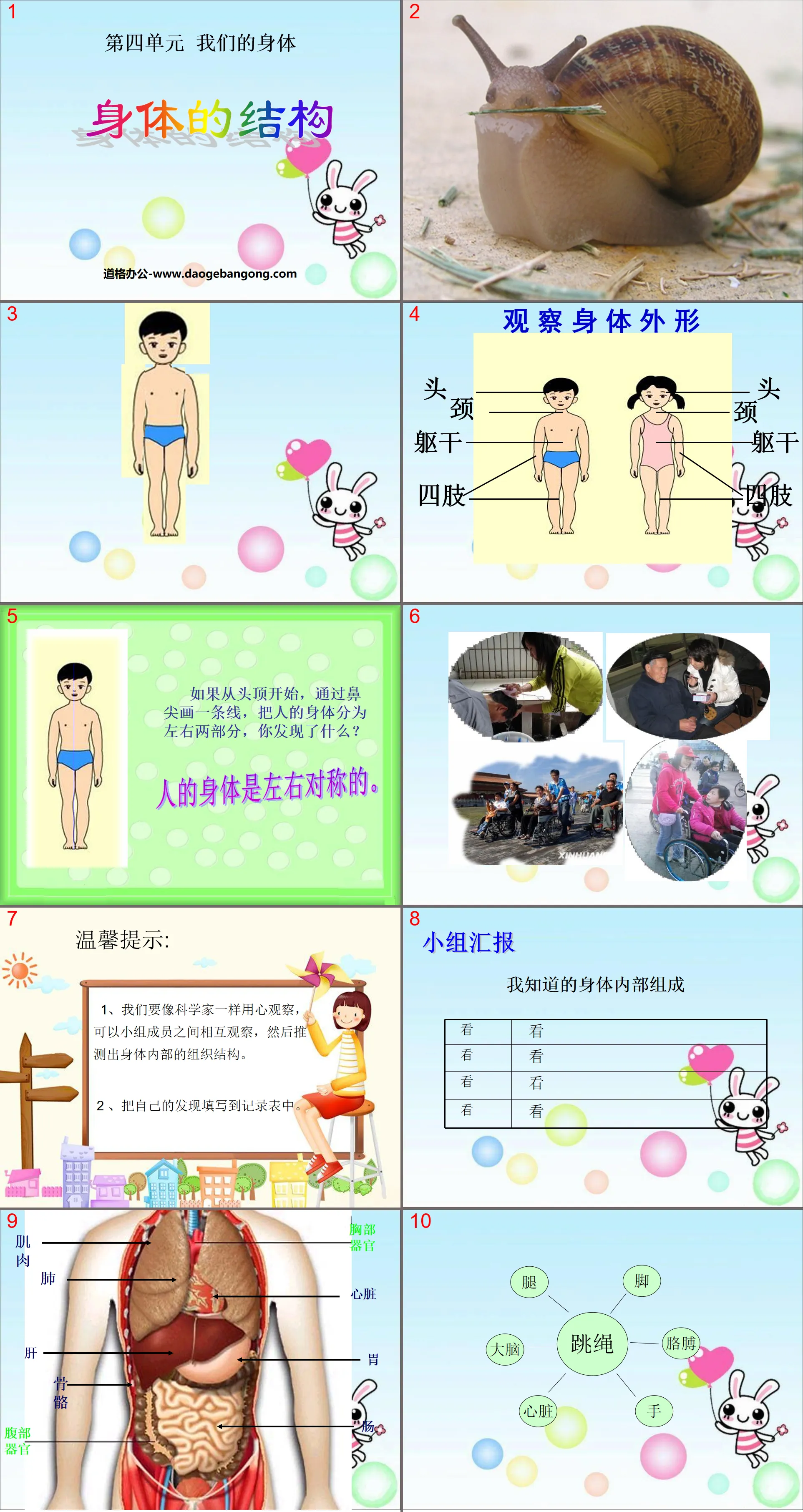 《身体的结构》我们的身体PPT课件4
