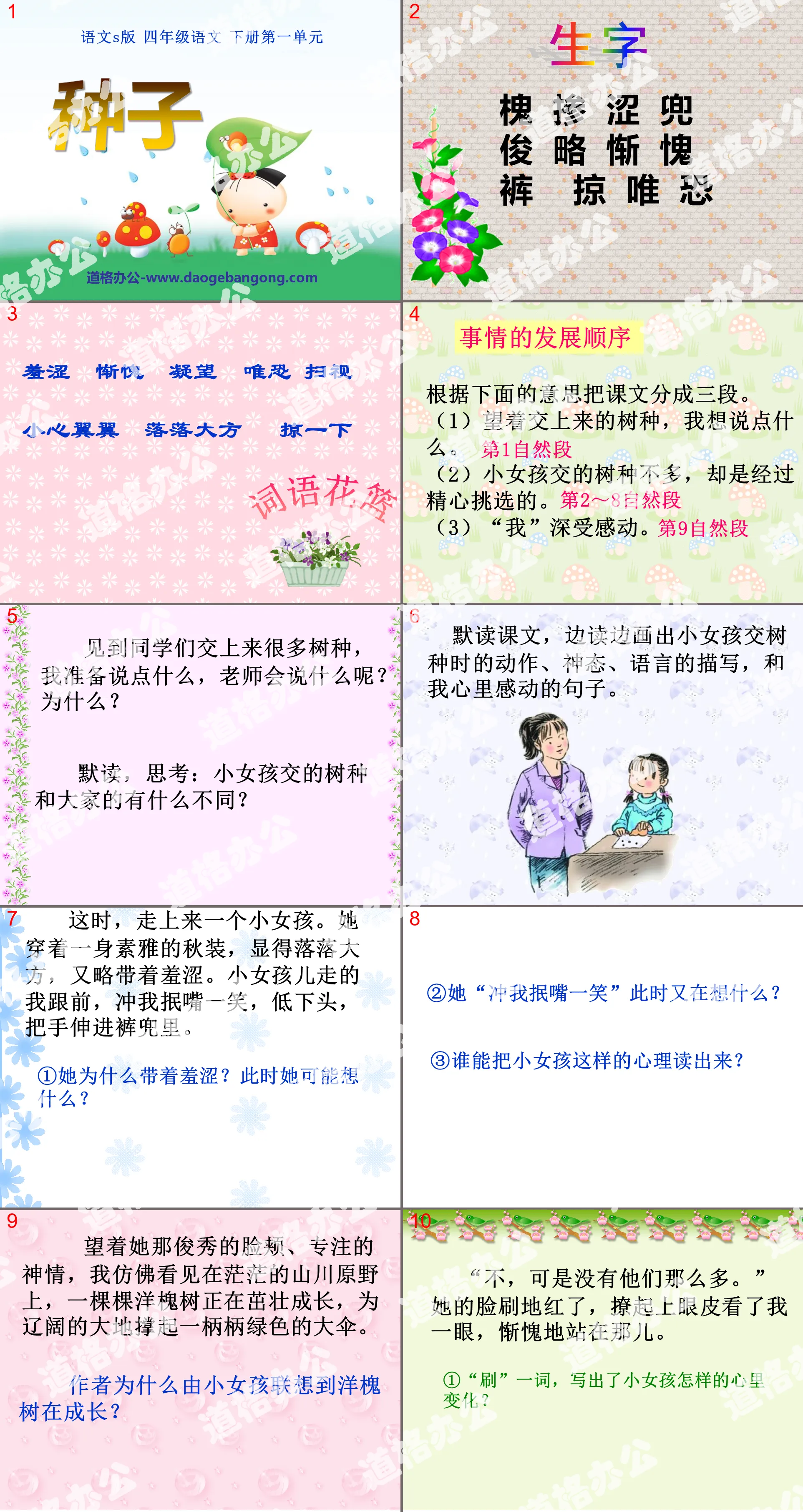 《种子》PPT课件3
