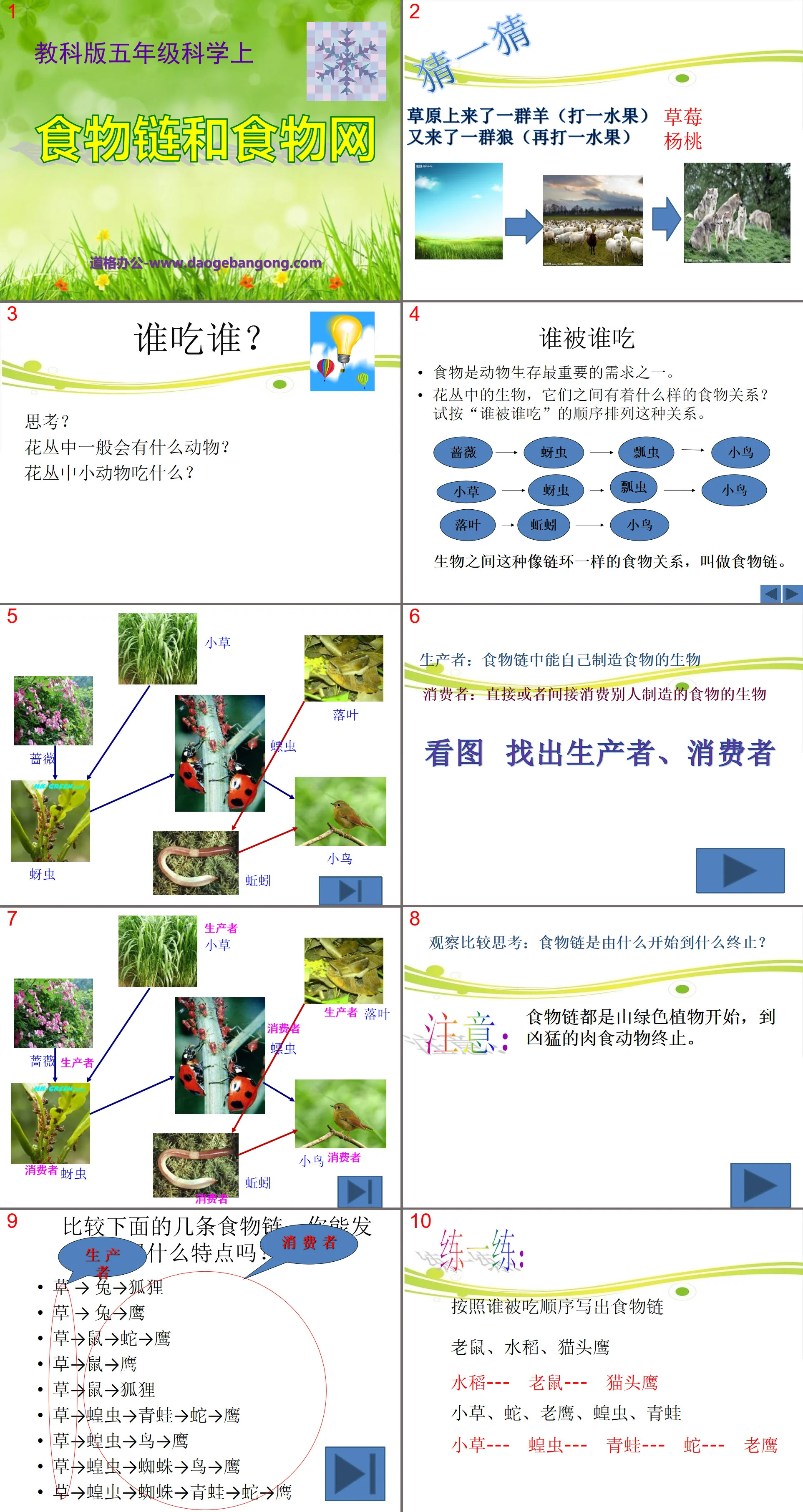 《食物链和食物网》生物与环境PPT课件3
