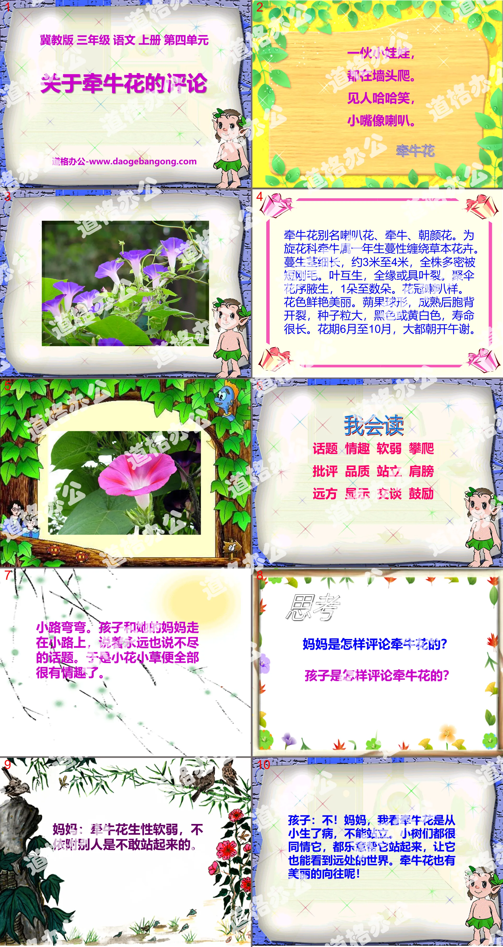 《關於牽牛花的評論》PPT課件