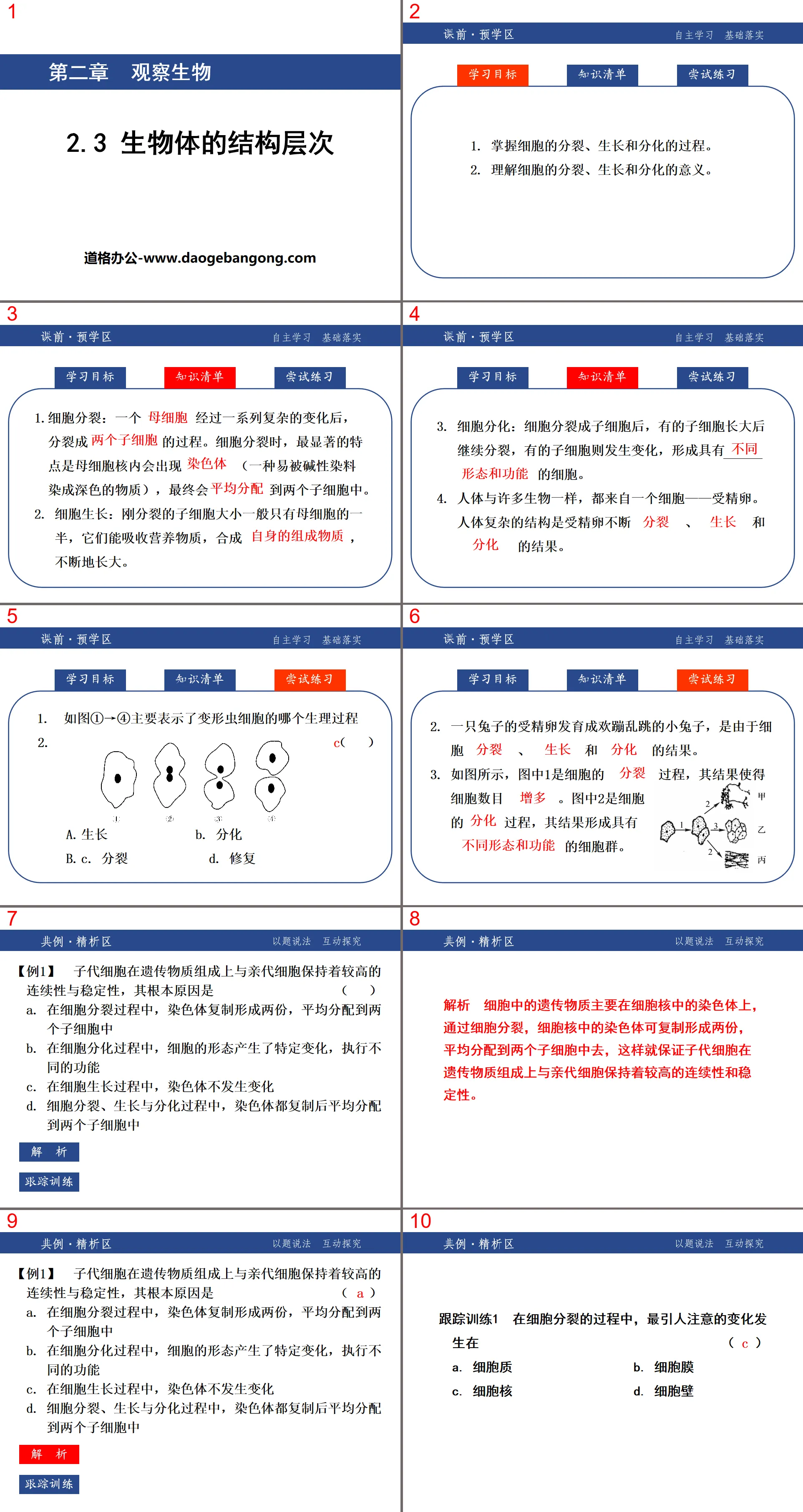 《生物体的结构层次》PPT
