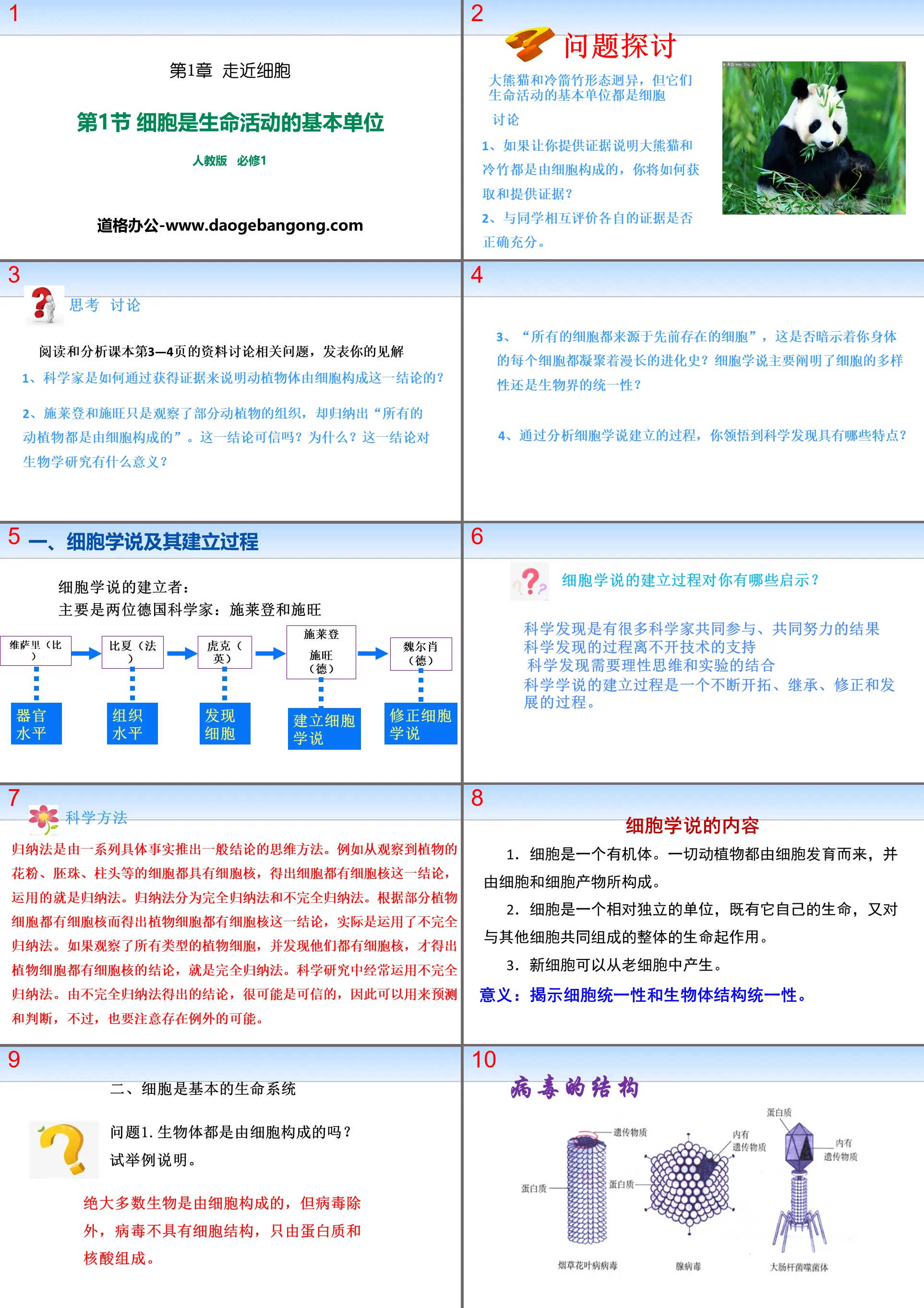 《細胞是生命活動的基本單位》走近細胞PPT下載