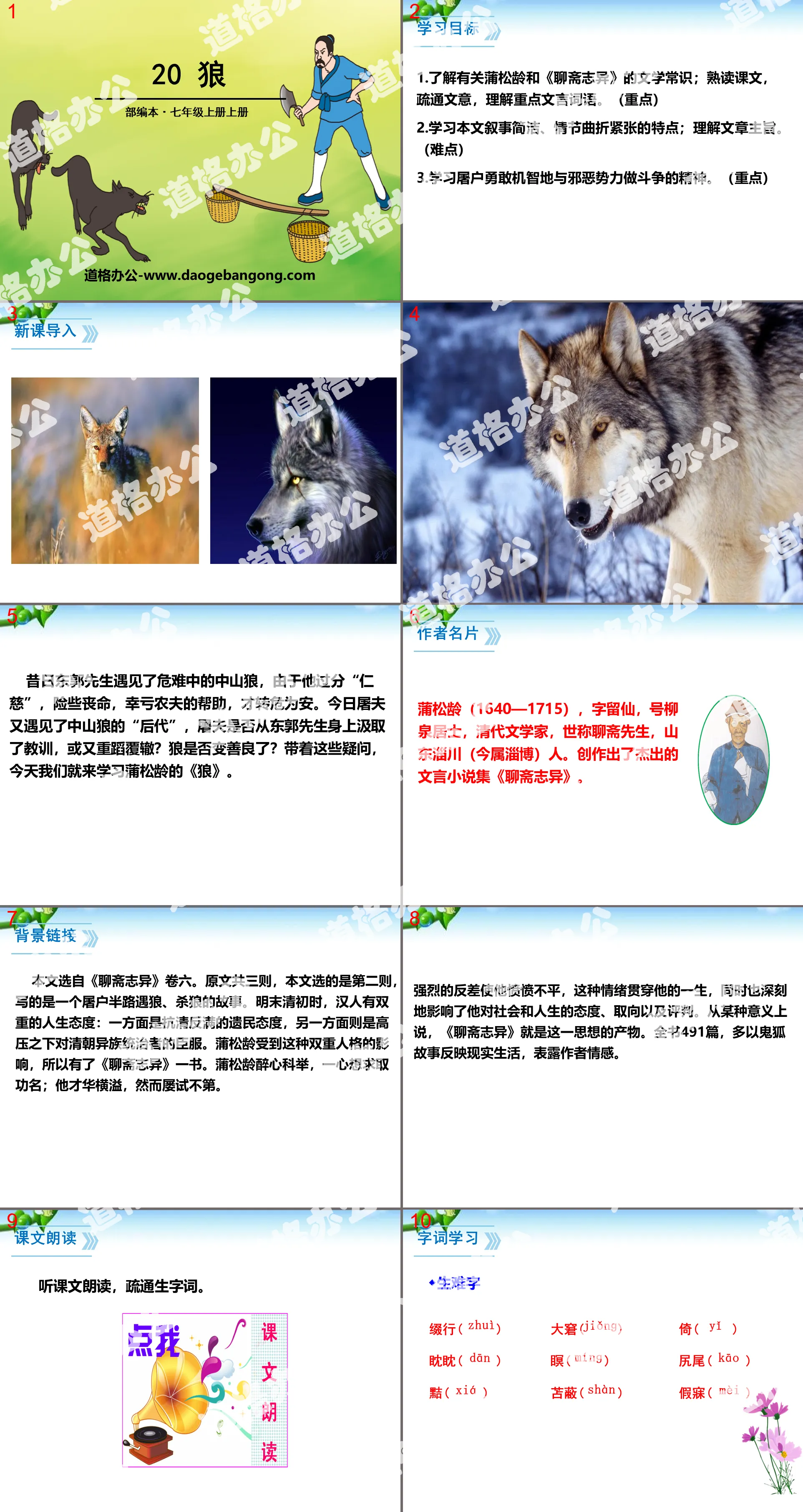 Présentation PowerPoint « Loup »