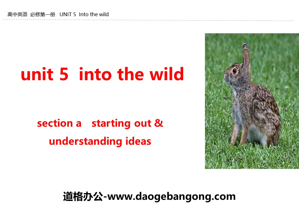 《Into the wild》Section A PPT
