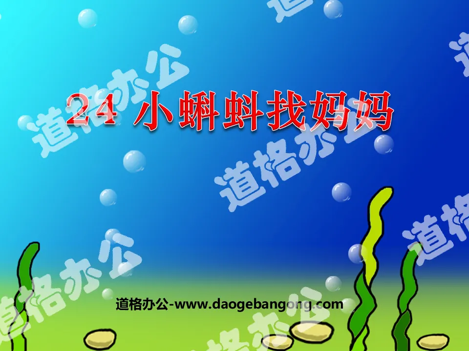 "Tadpole Looking for Mom" ​​PPT Courseware 5