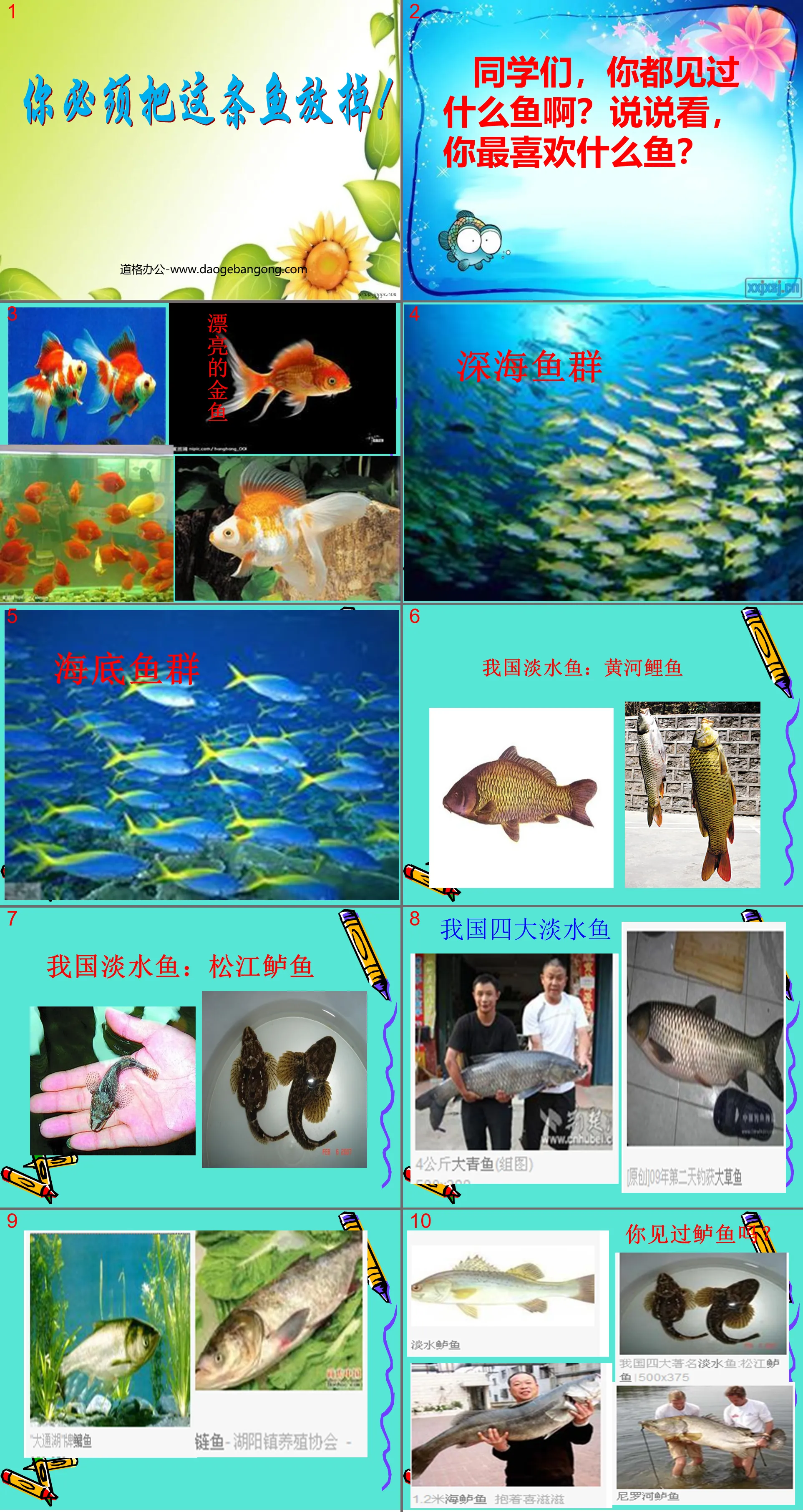 "You must let go of this fish" PPT courseware 4